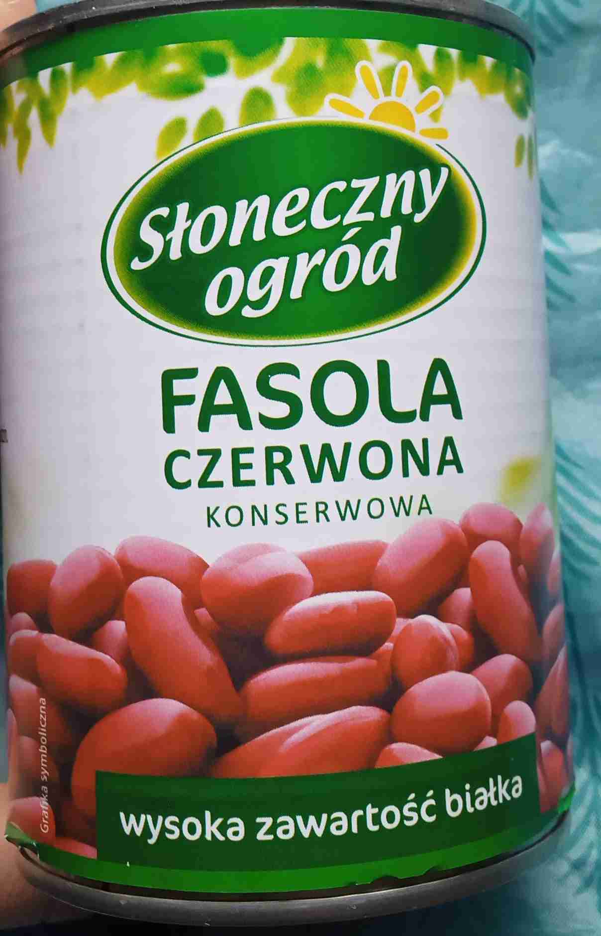 Fasola czerwona 