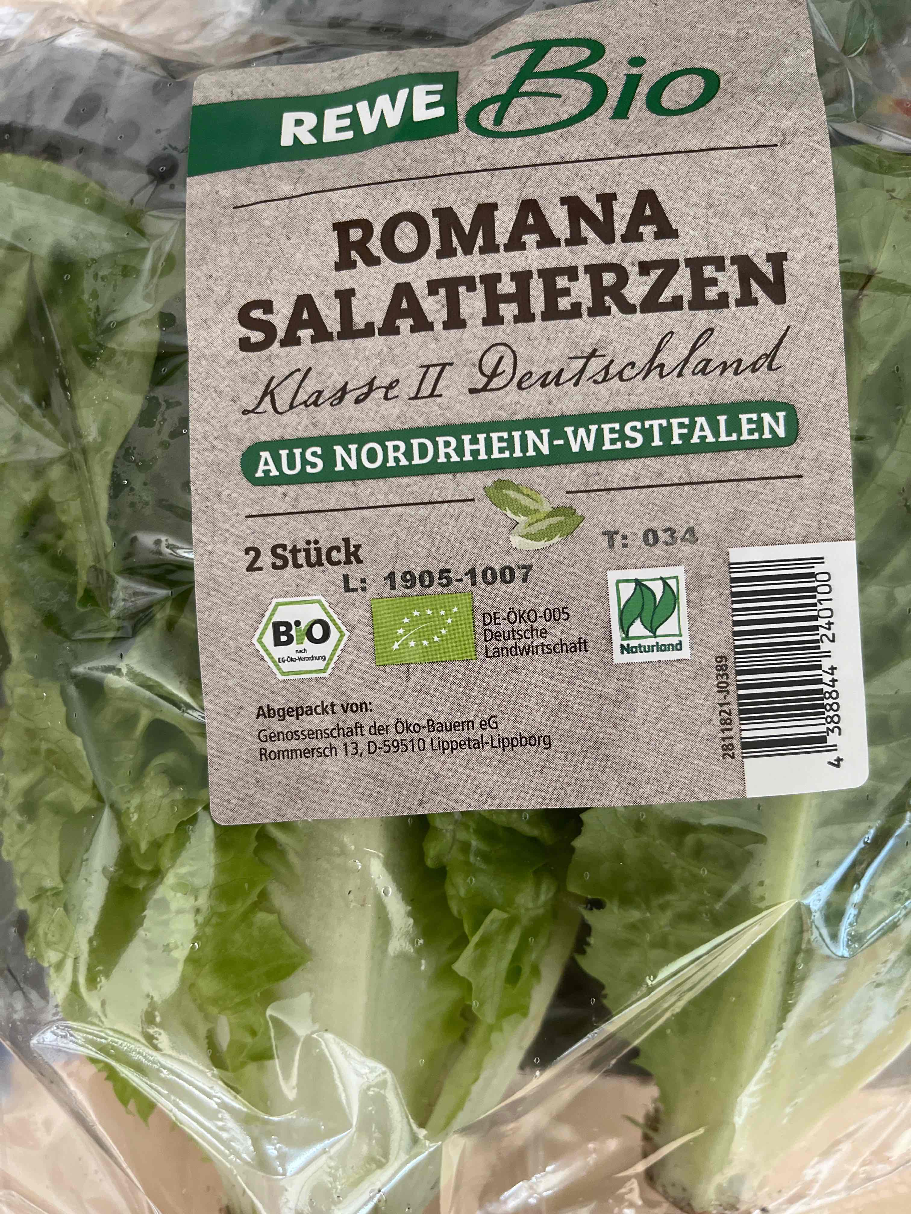 Romana Salatherzen