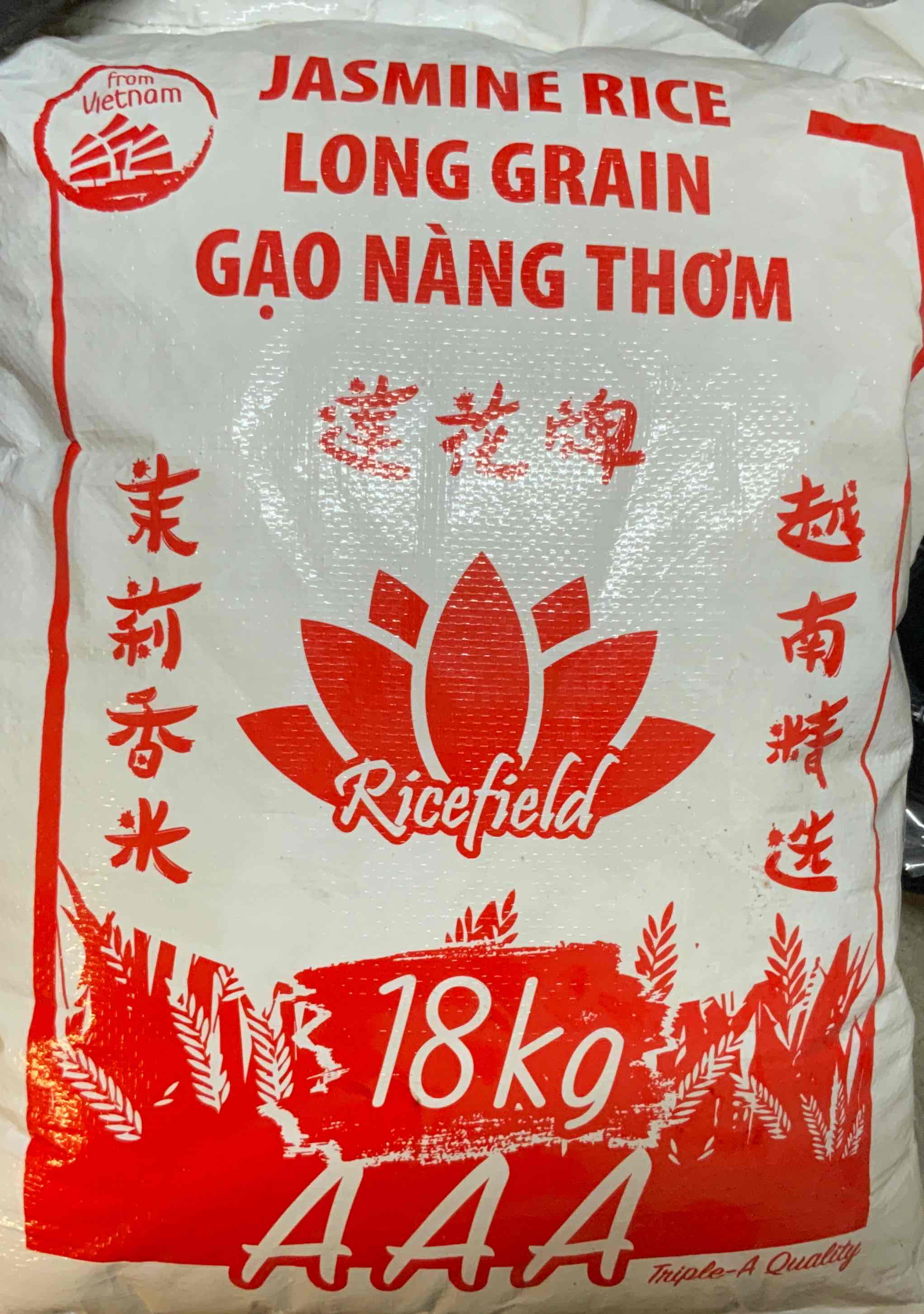 Jasmine Rice Langkorn