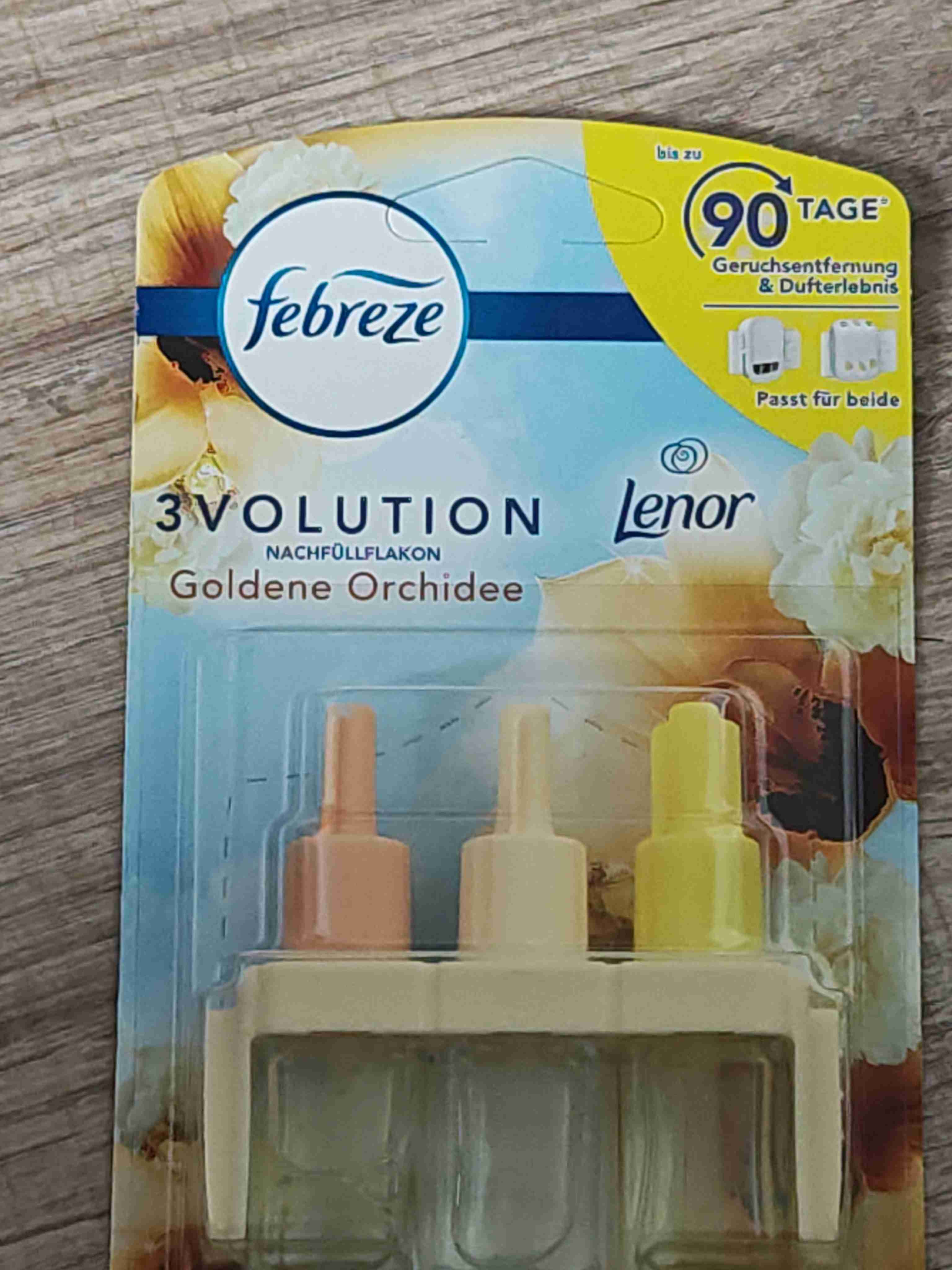 3 Volution goldene Orchidee 