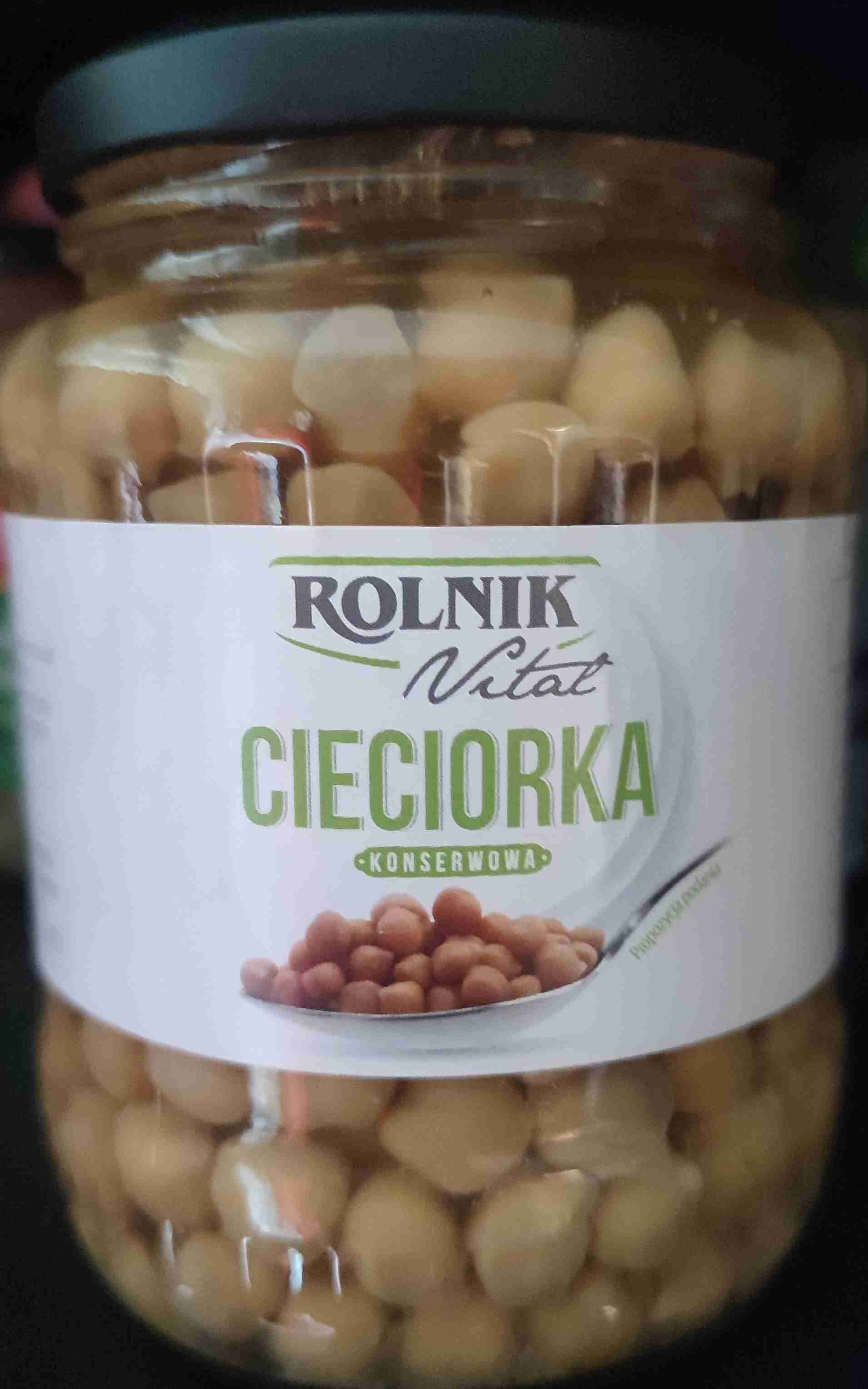 Cieciorka konserwowa