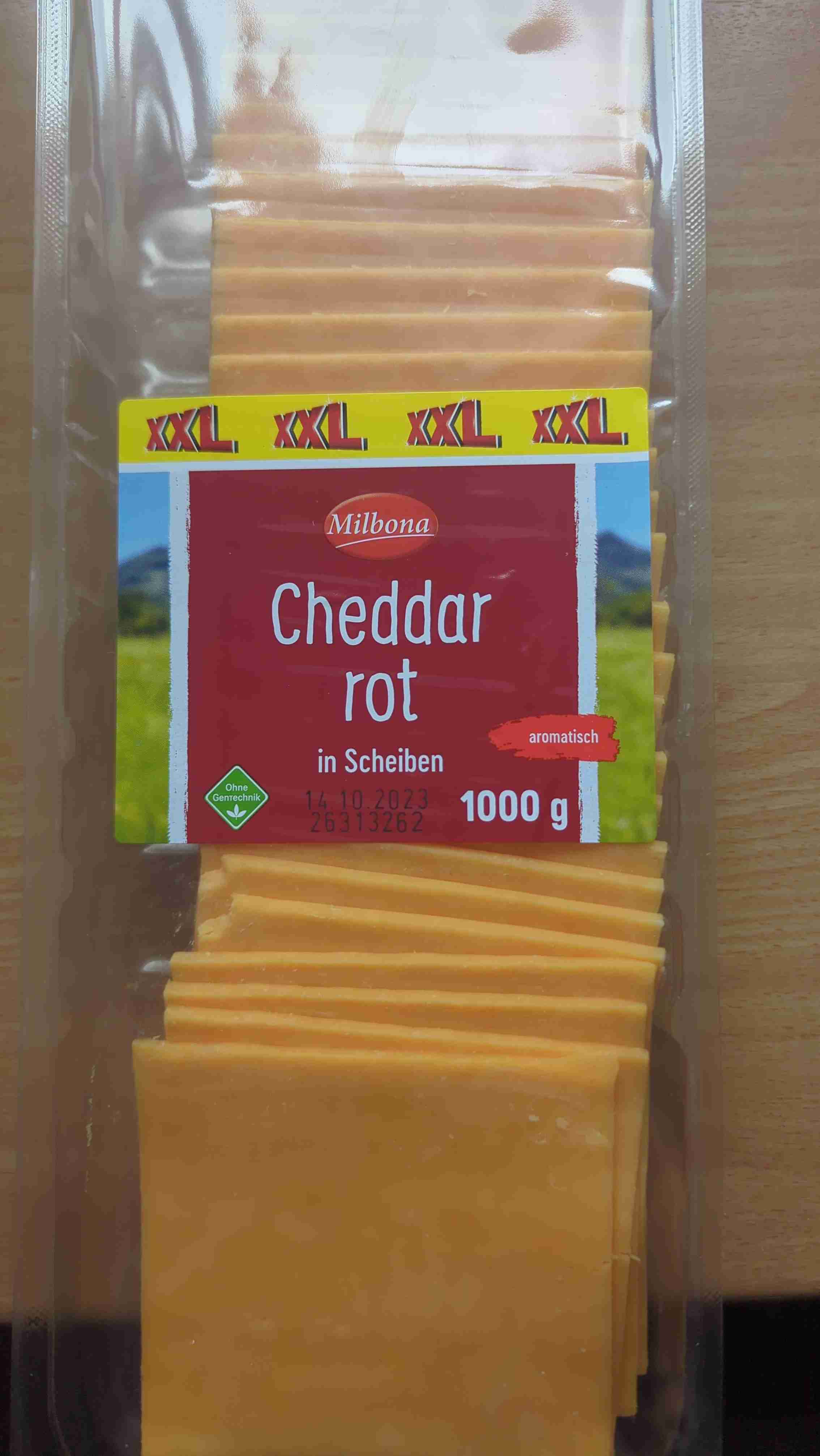 Cheddar rot XXL 