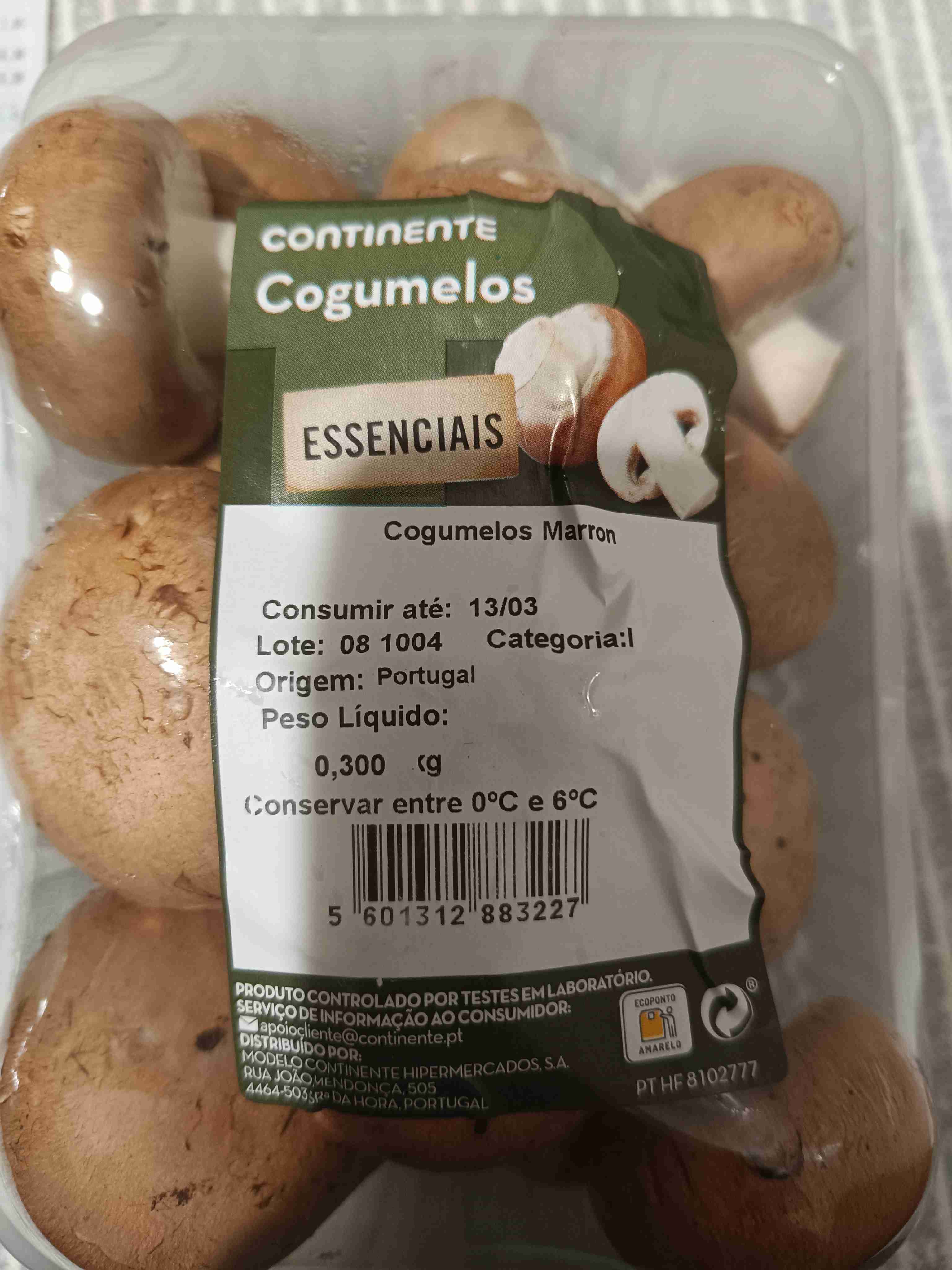 Cogumelos Marron