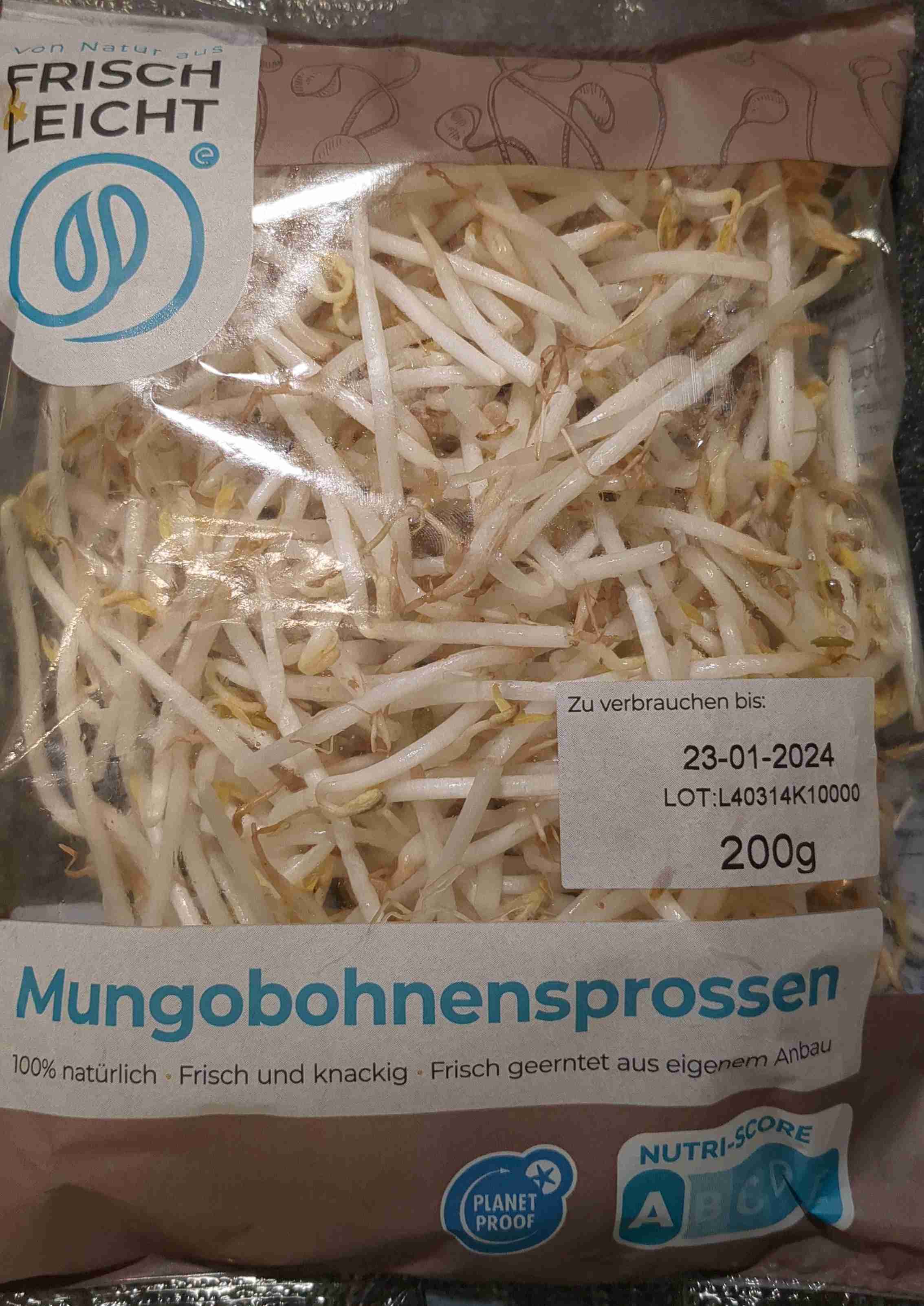 Mungobohnen Sprossen 
