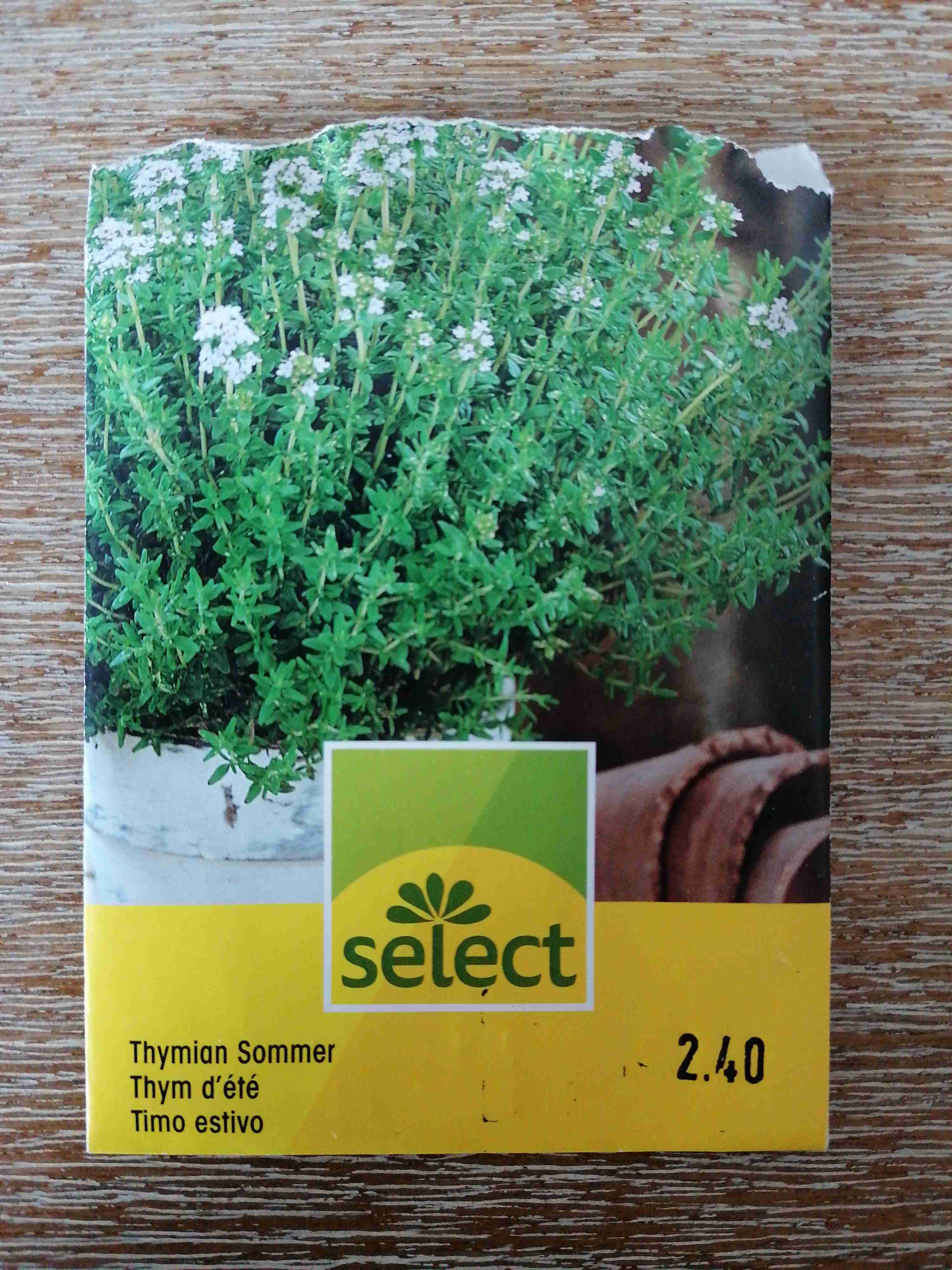 Thymian Sommer