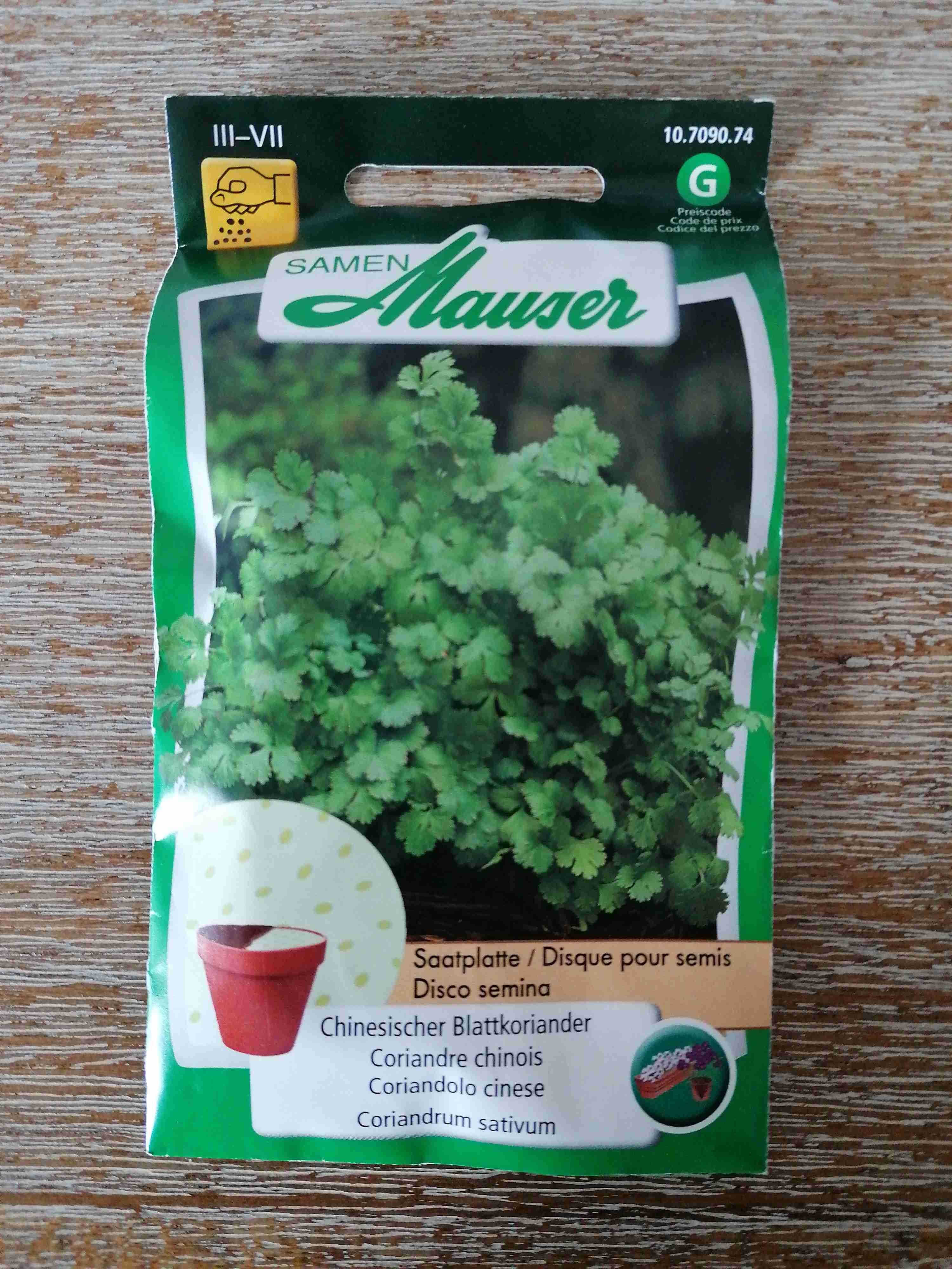 Koriander (chinesischer) 