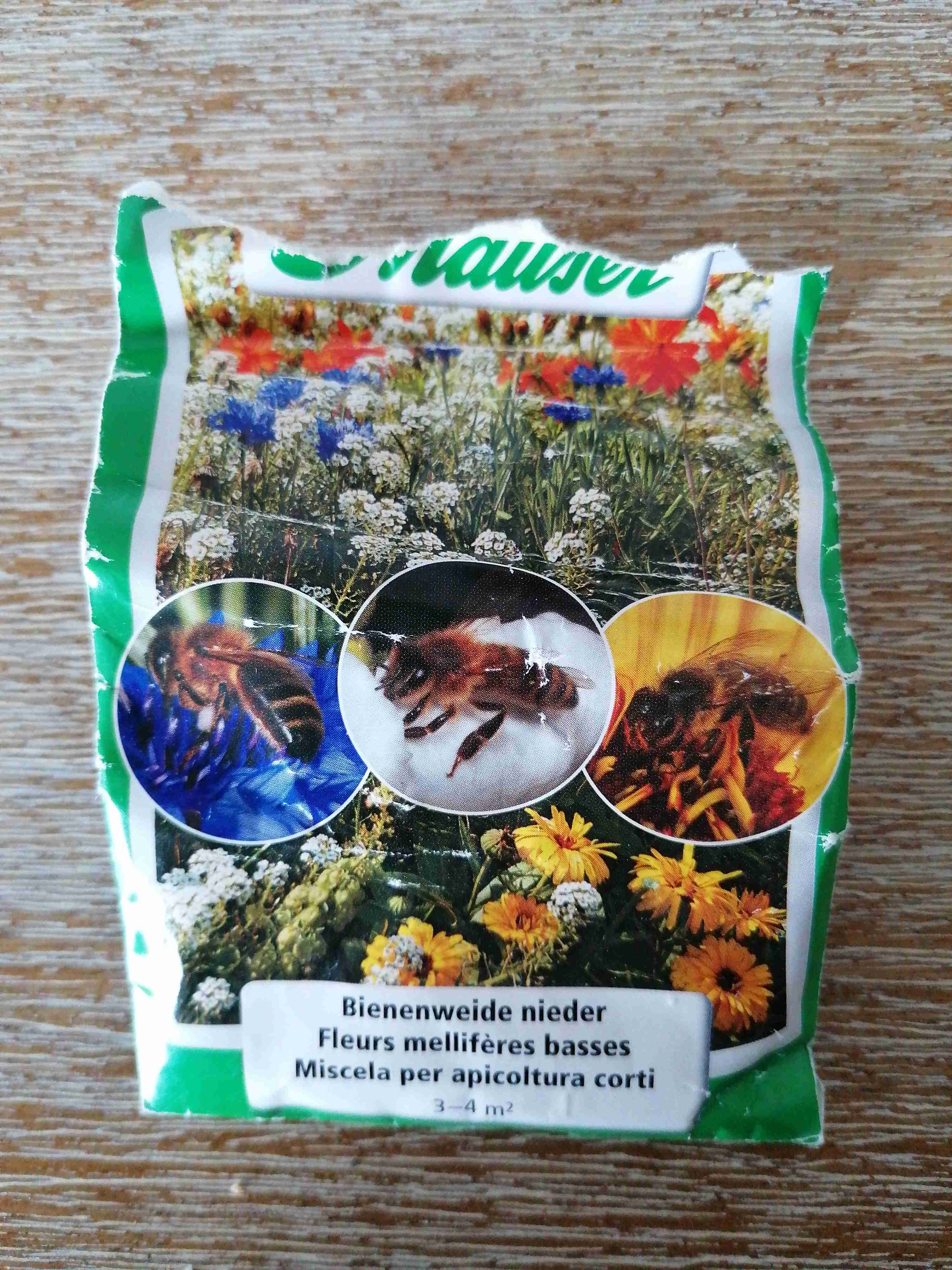 Bienenweide niedrig