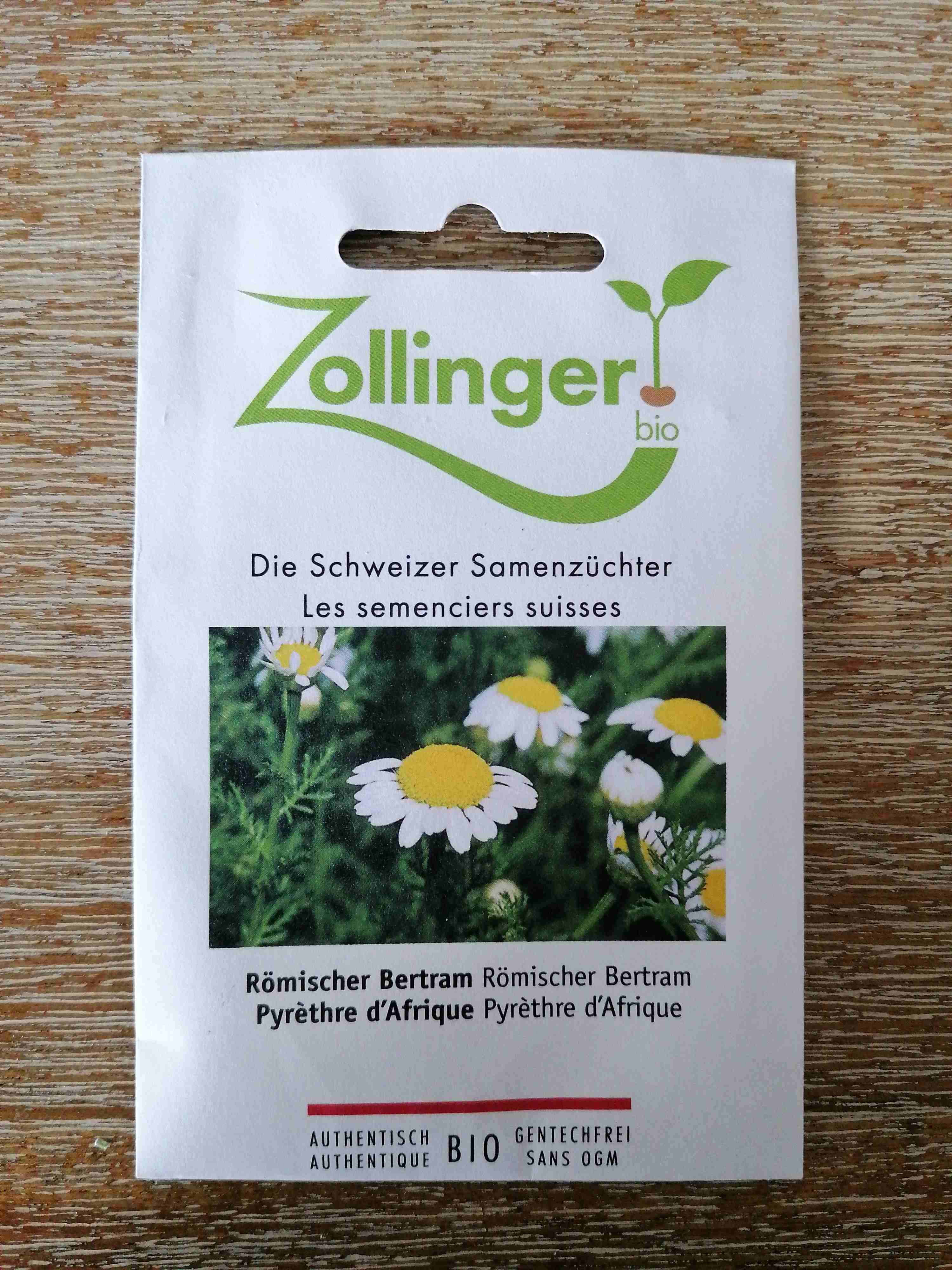 Römischer Bertram