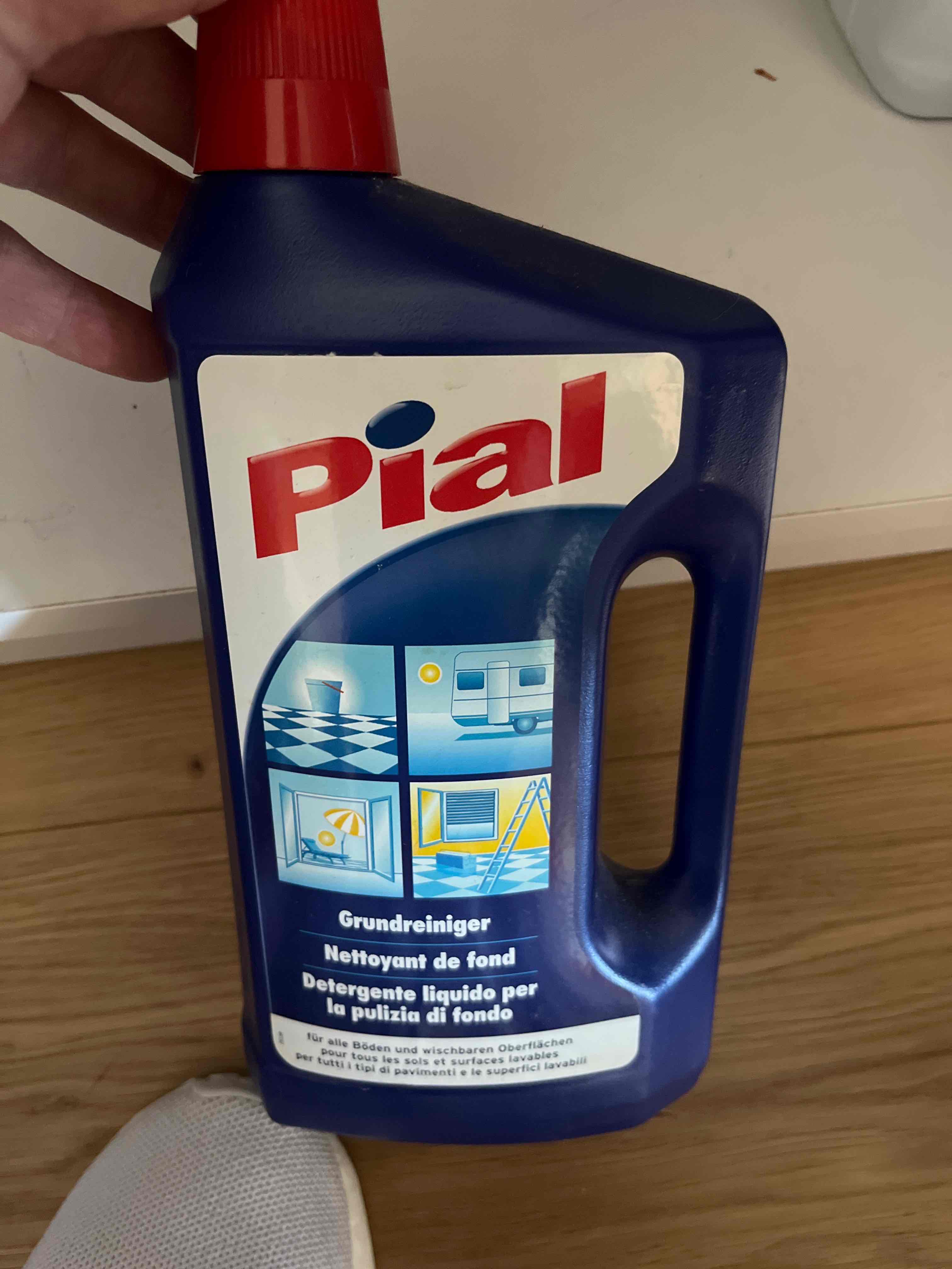 Pudal Grundreiniger
