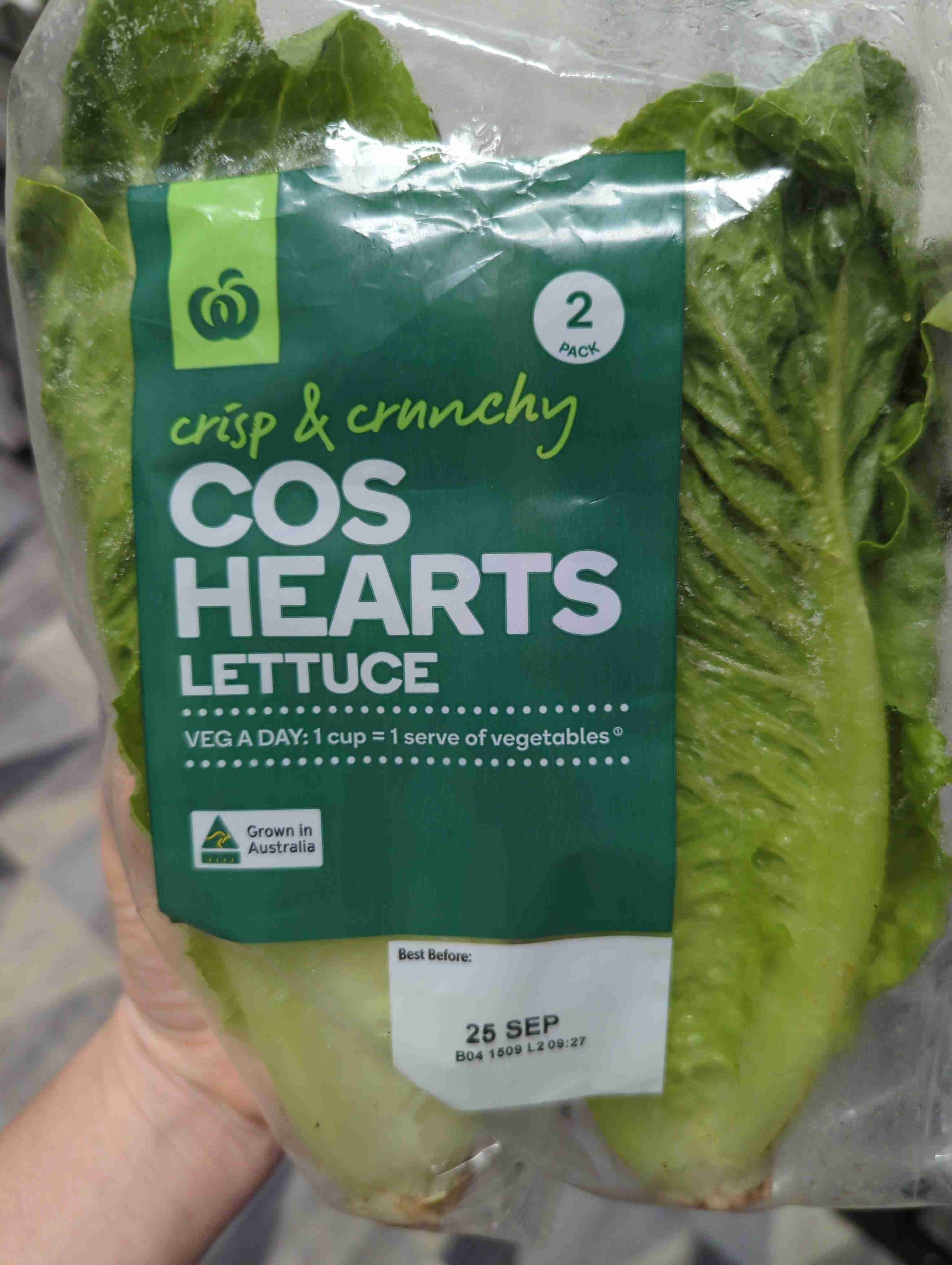 Cos hearts lettuce 