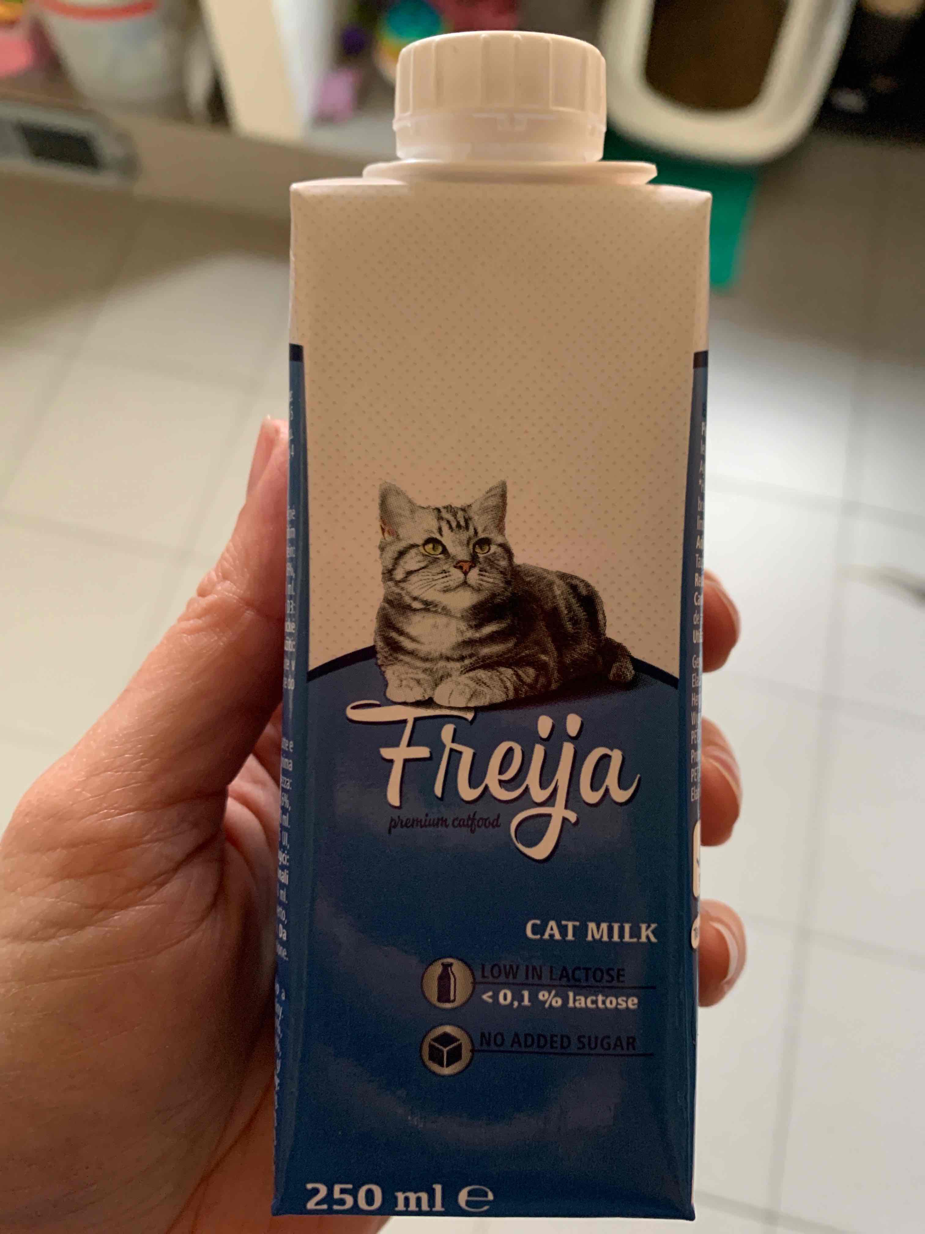 Kattenmelk Freijz