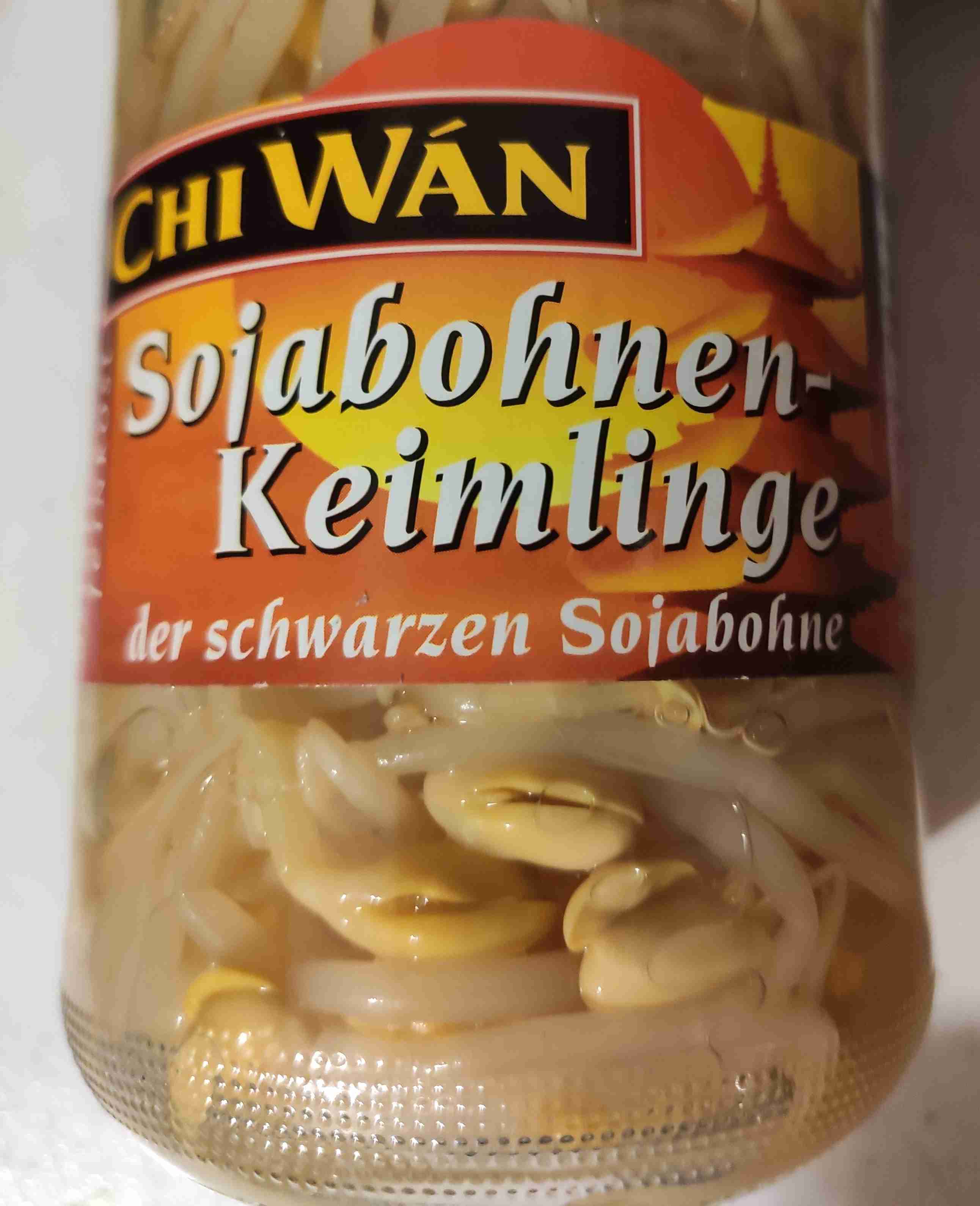 Sojabohnen Keimlinge 
