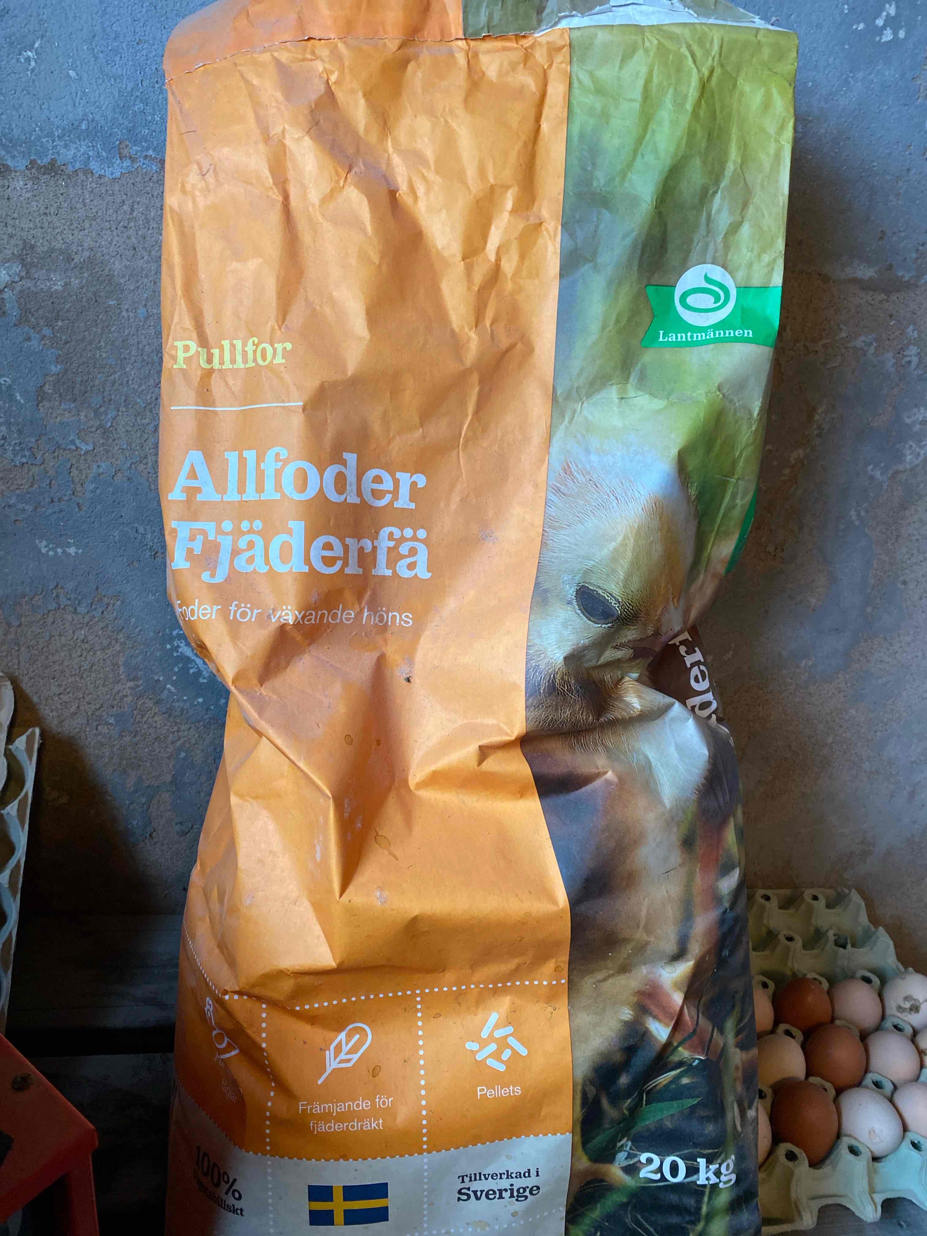 Allfoder fjäderfä