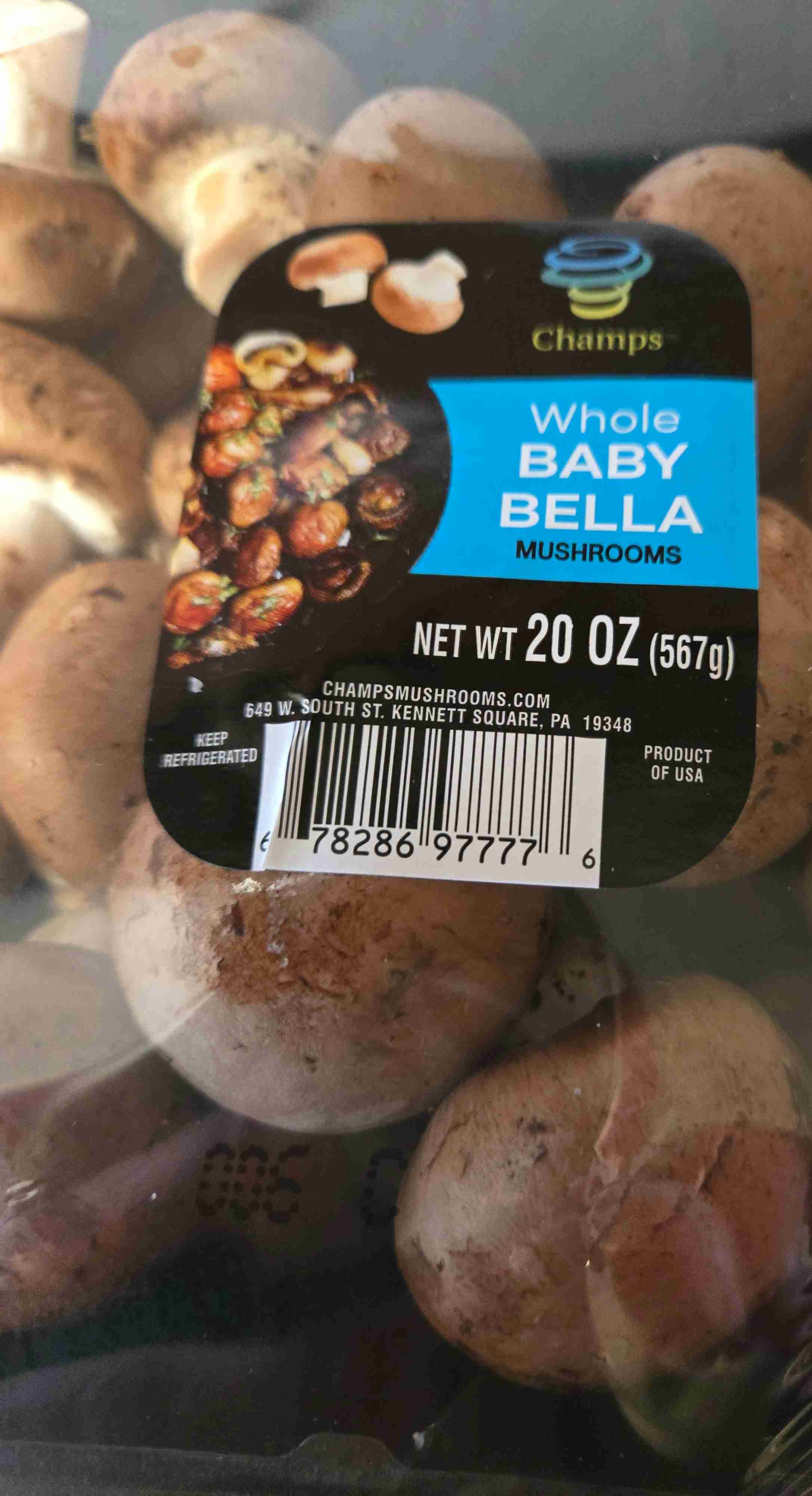 Baby Bella Mushrooms