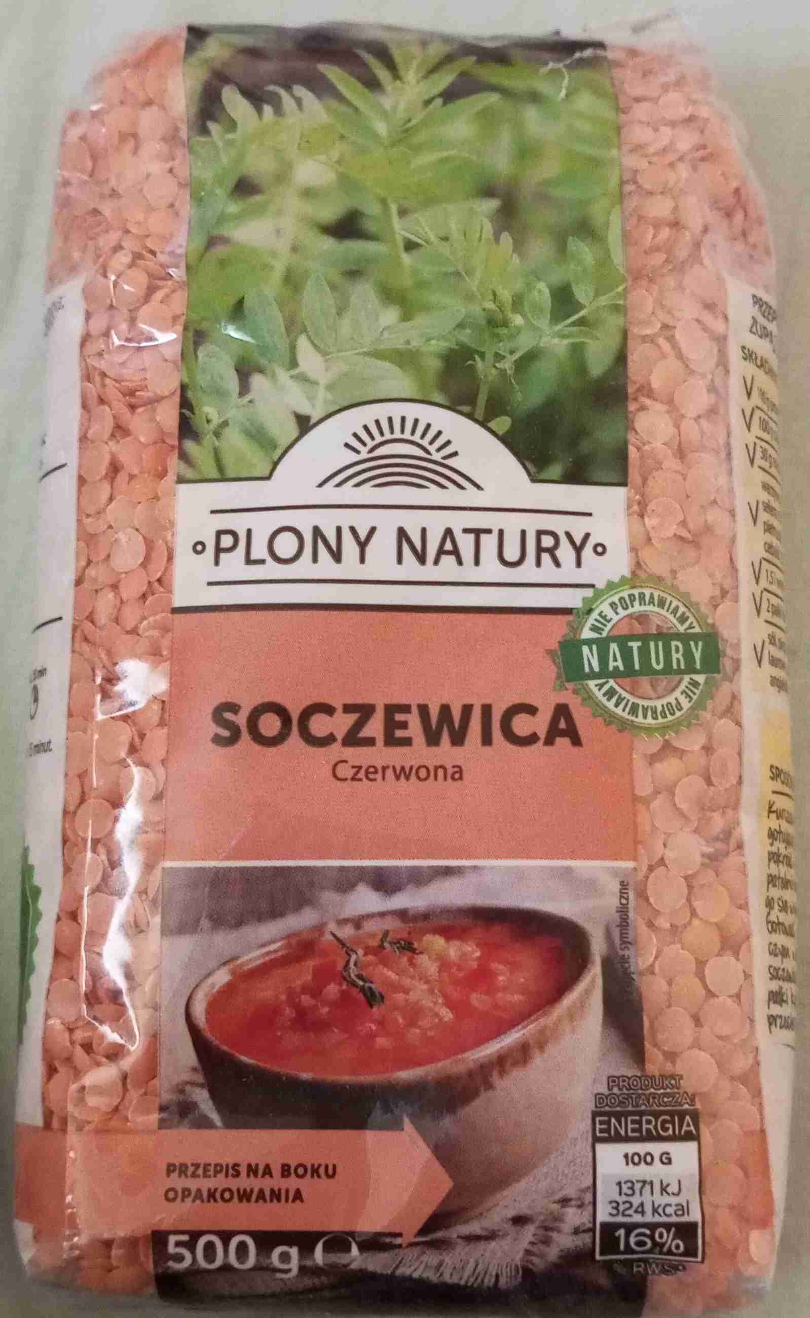 Soczewica czerwona 