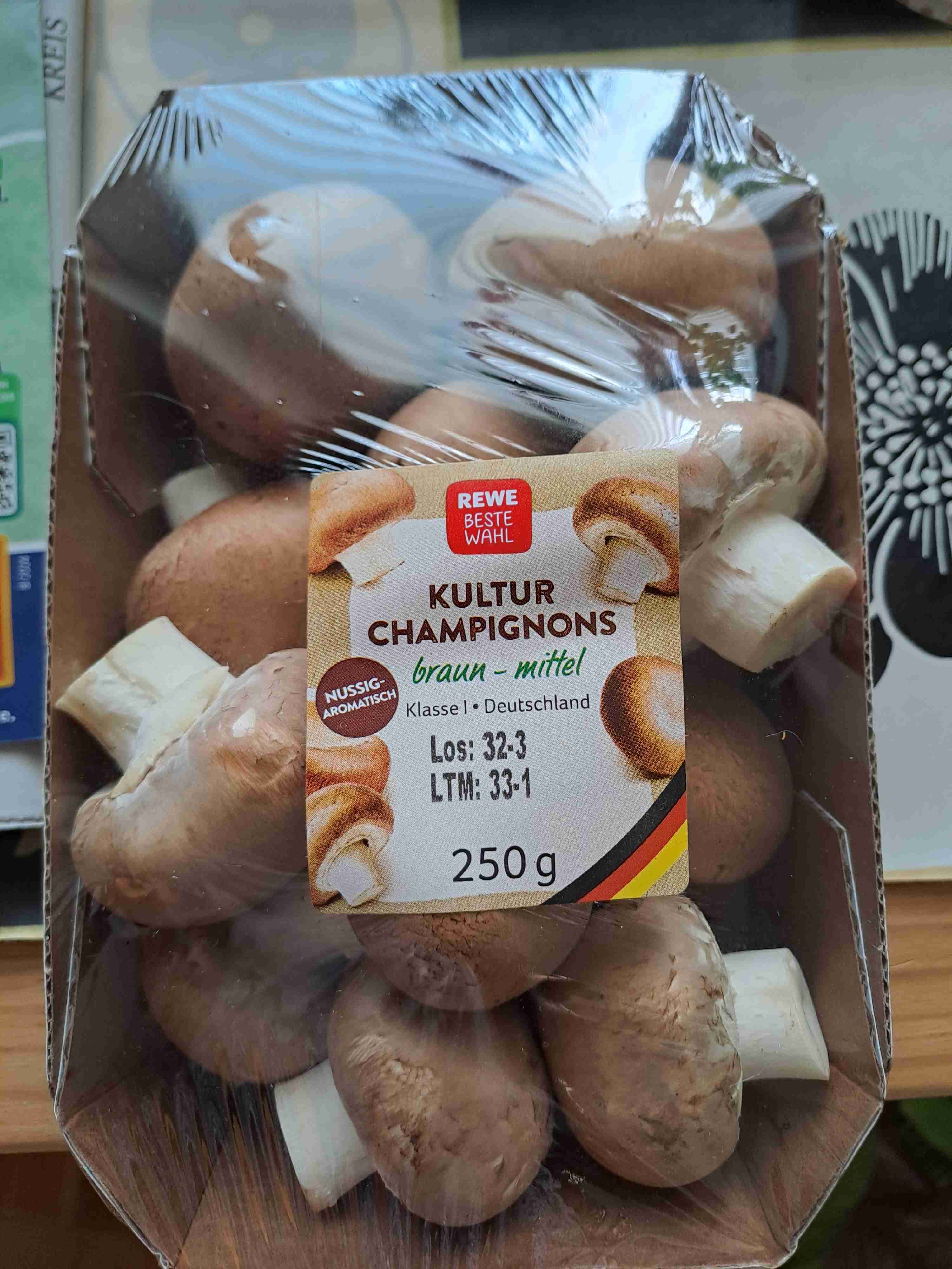 Kultur Champignons braun mittel
