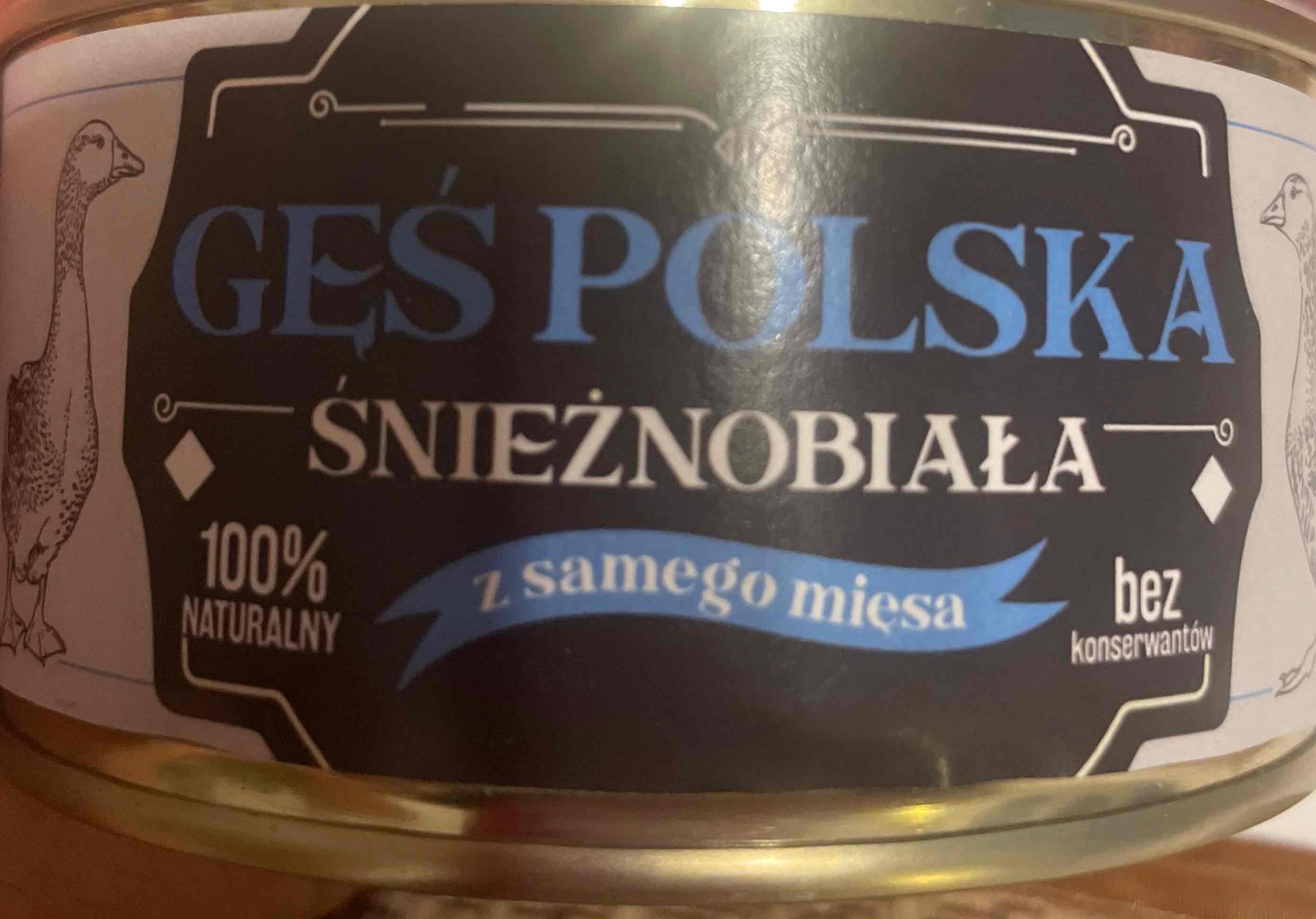 Gęś polska śnieżnobiała