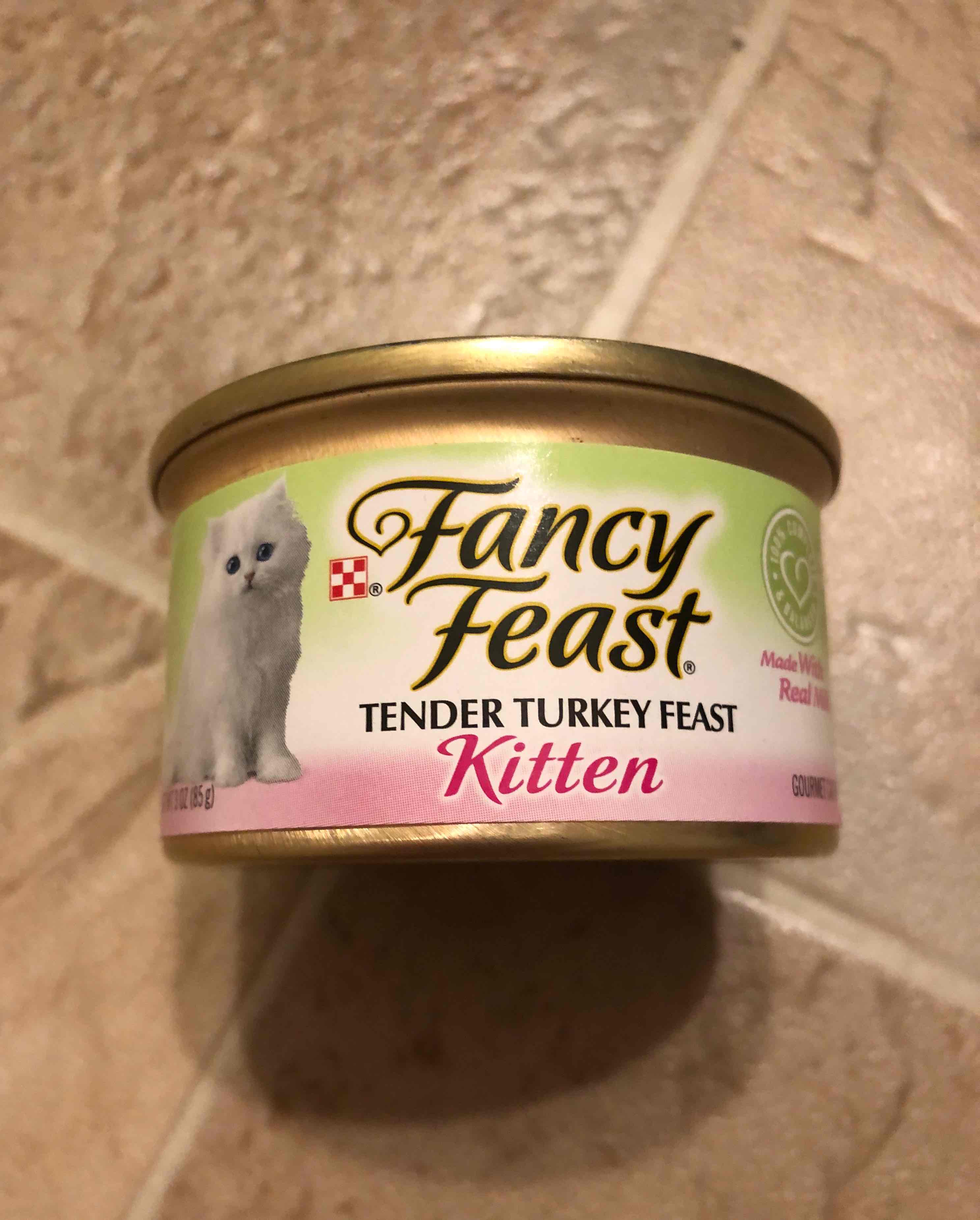 Kitten tender turkey feast