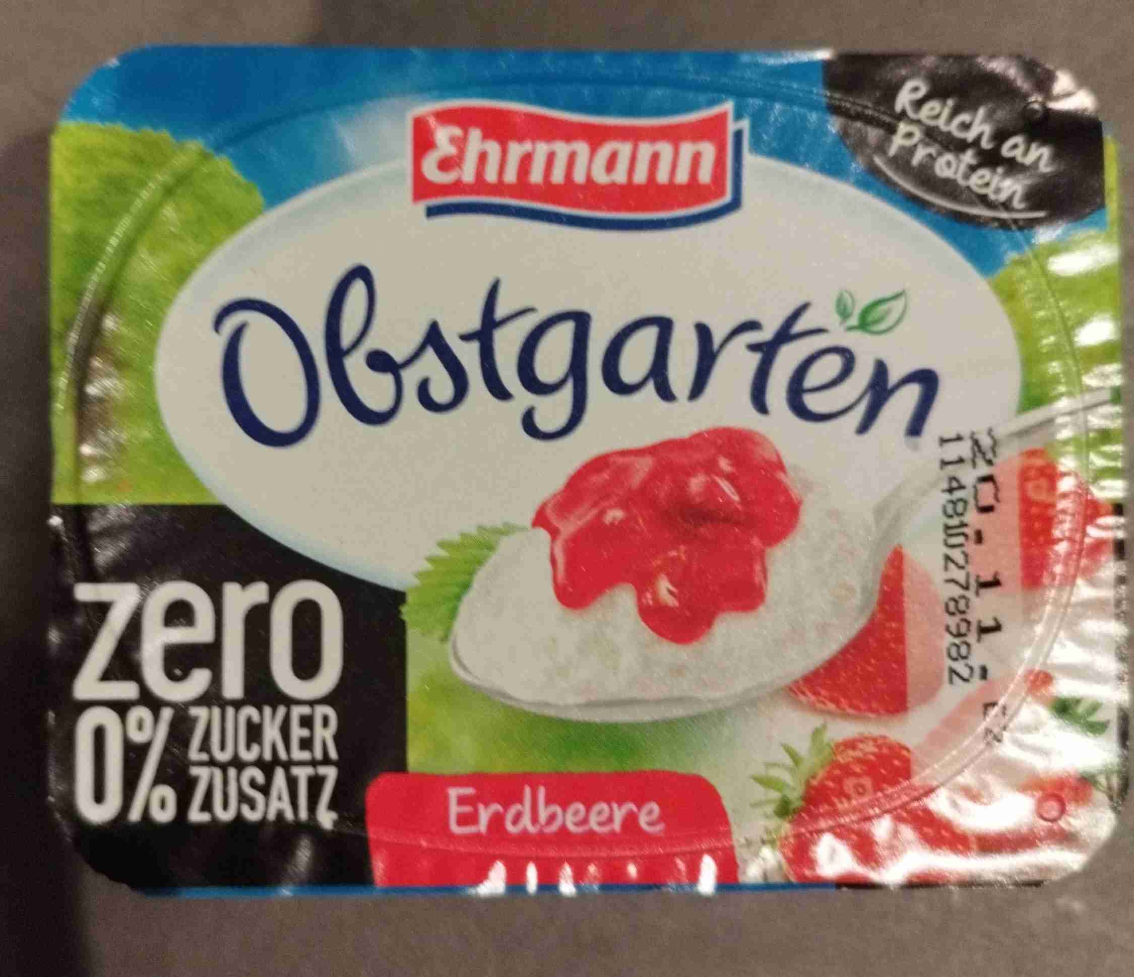 Obstgärten Erdbeere