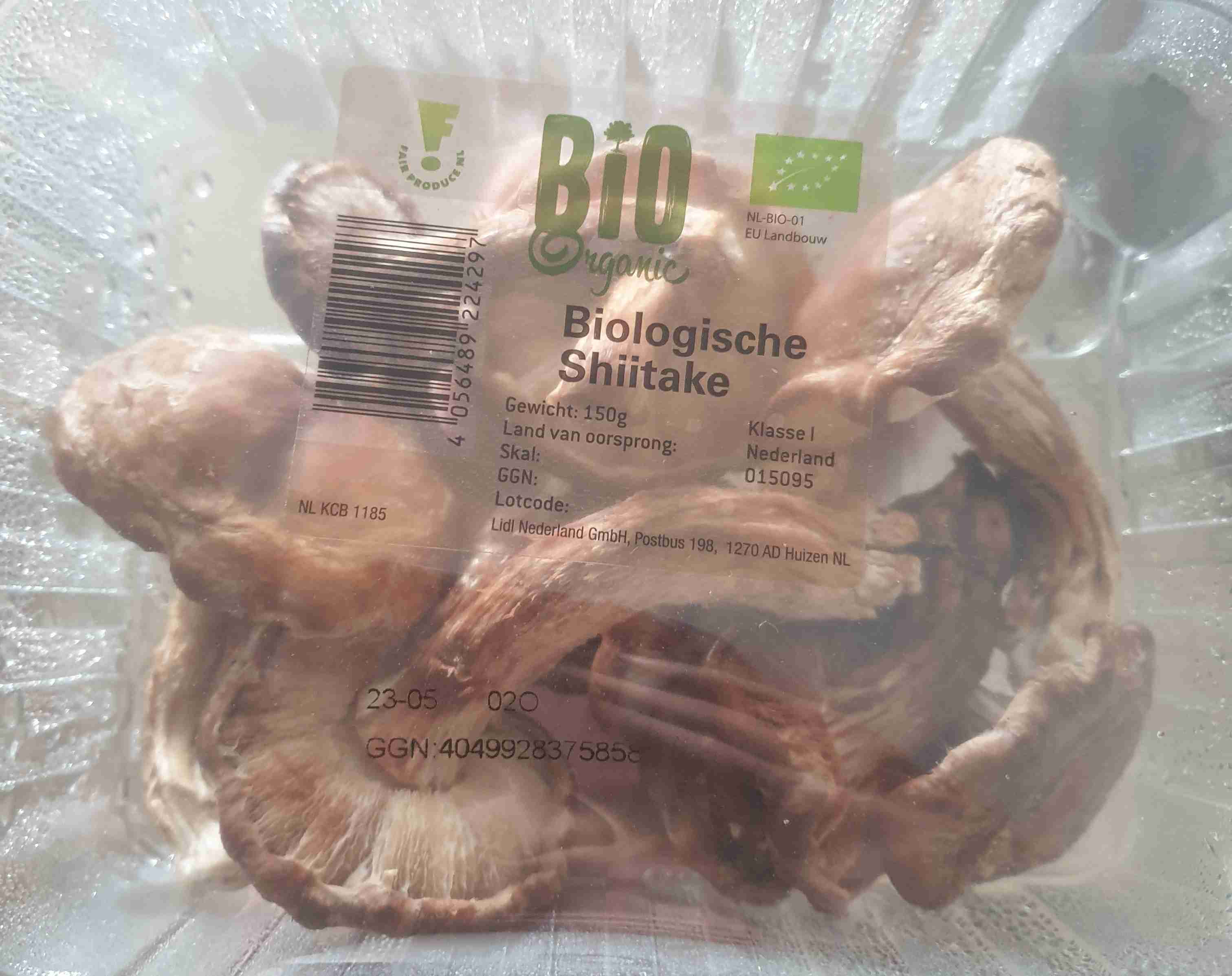 Shiitake, biologisch