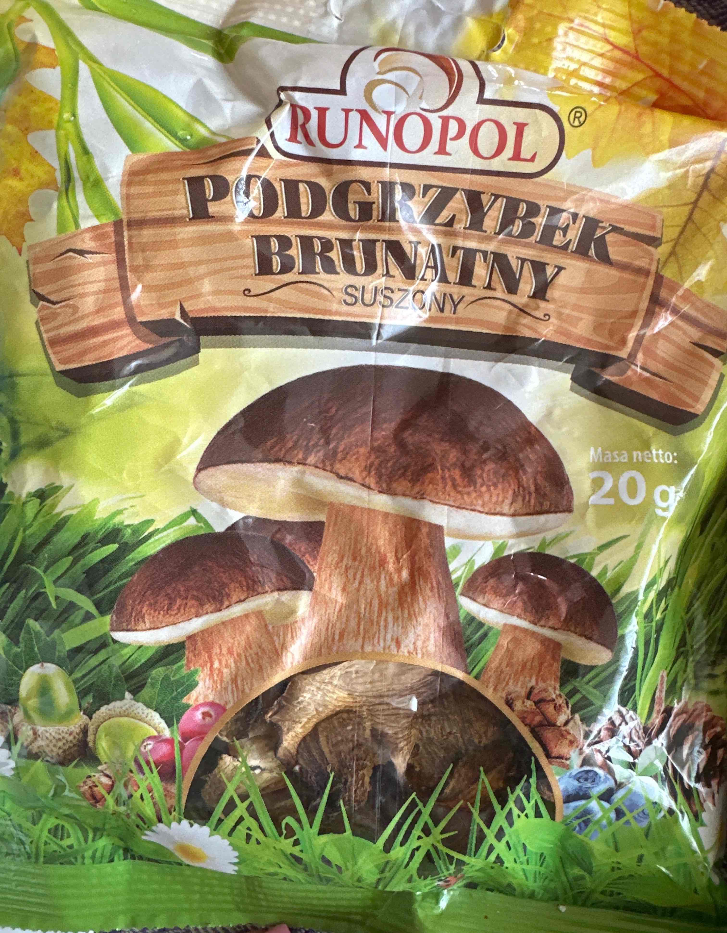 Podgrzybek brunatny suszone grzyby