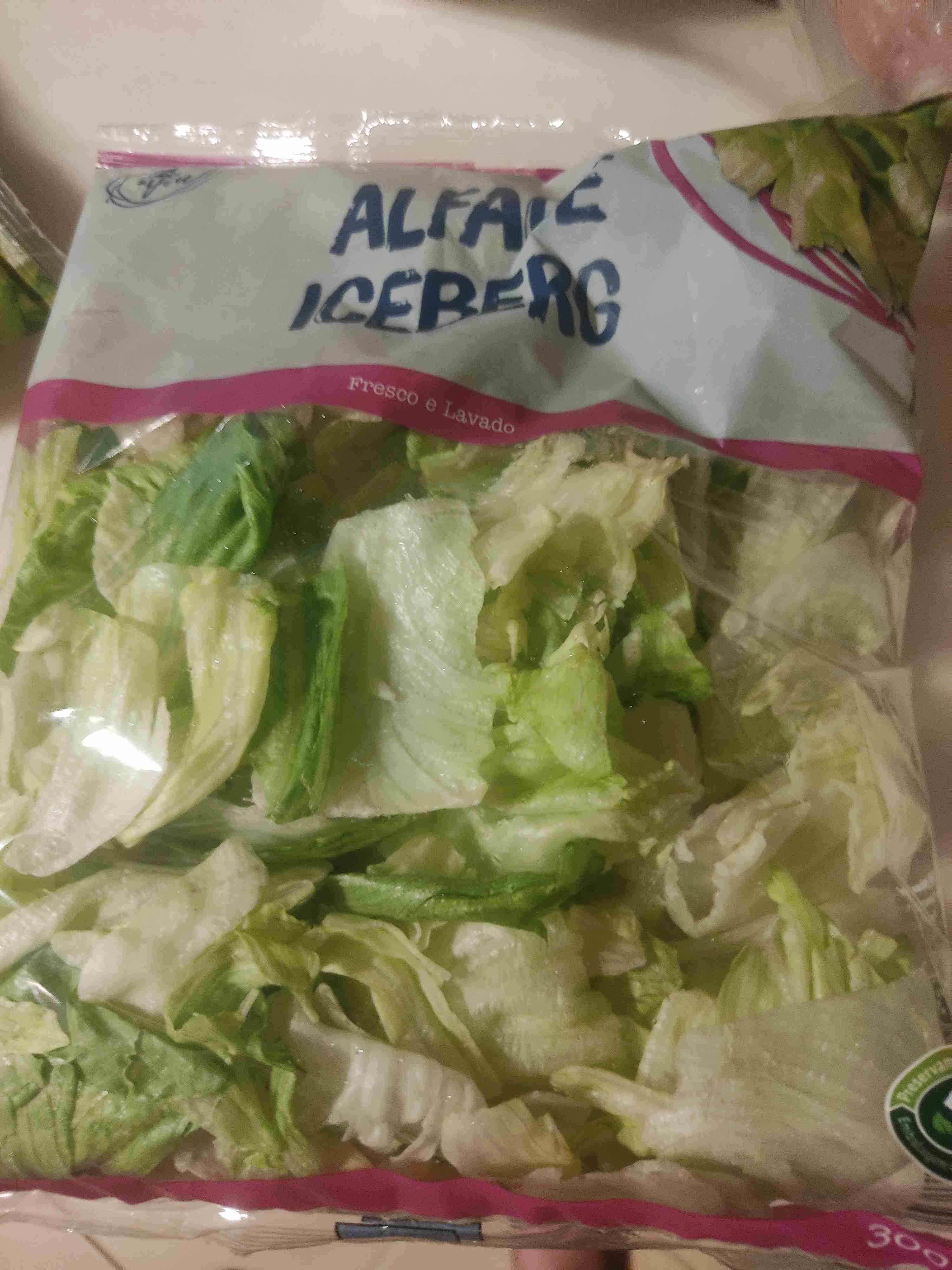 Alface iceberg 