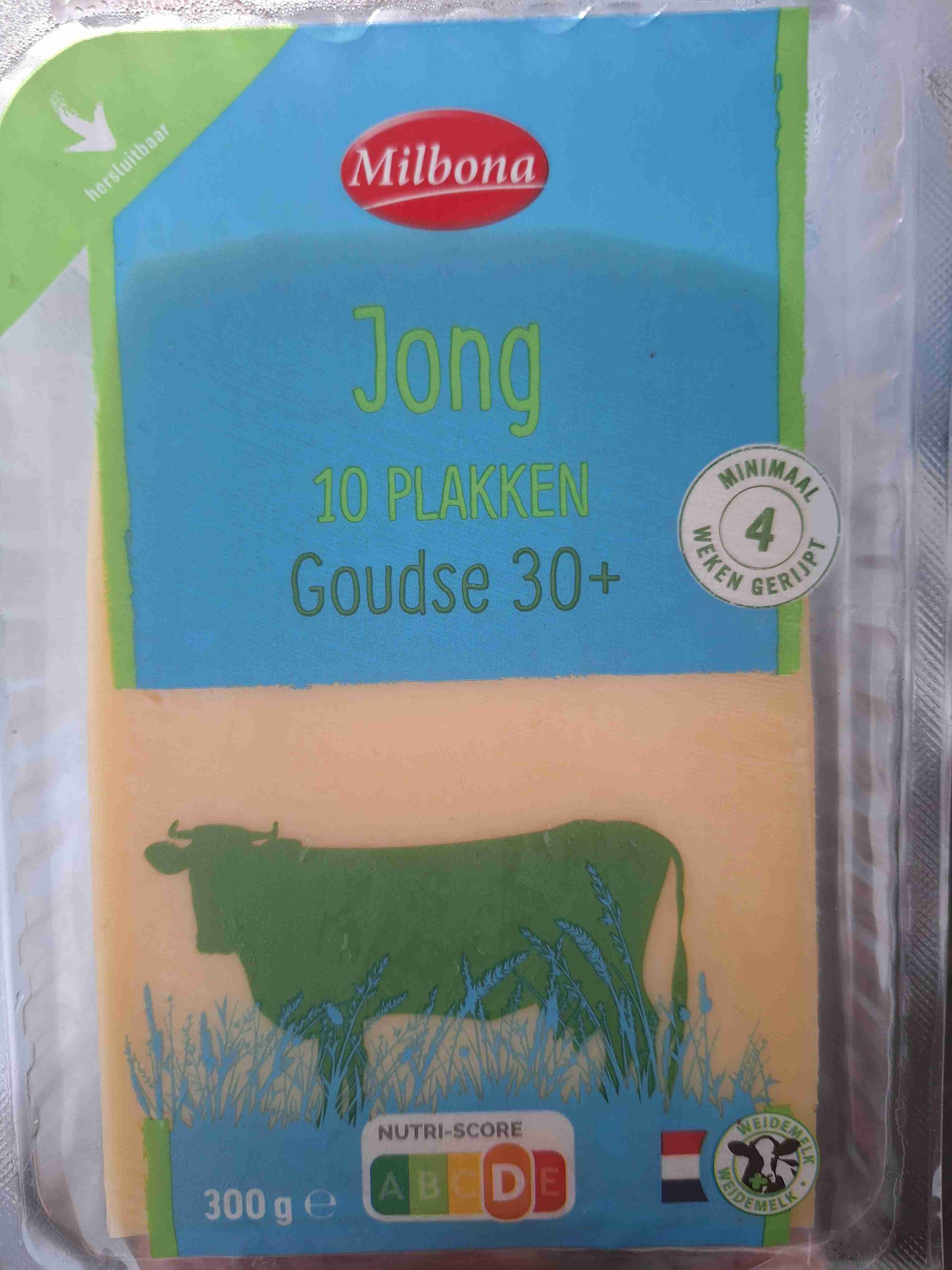 30+ Goudse jong plakke 