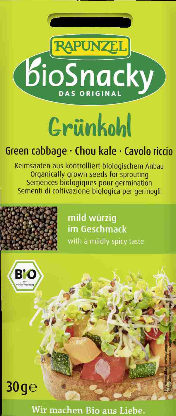 Bio Snacky Grünkohl