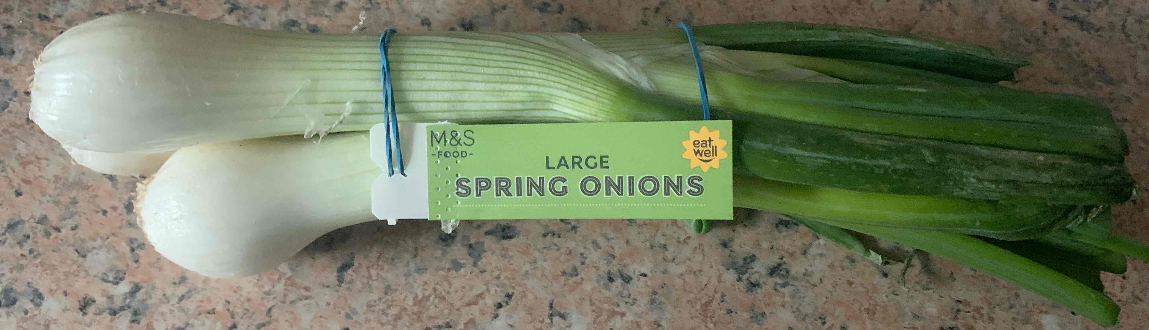 Large spring onions