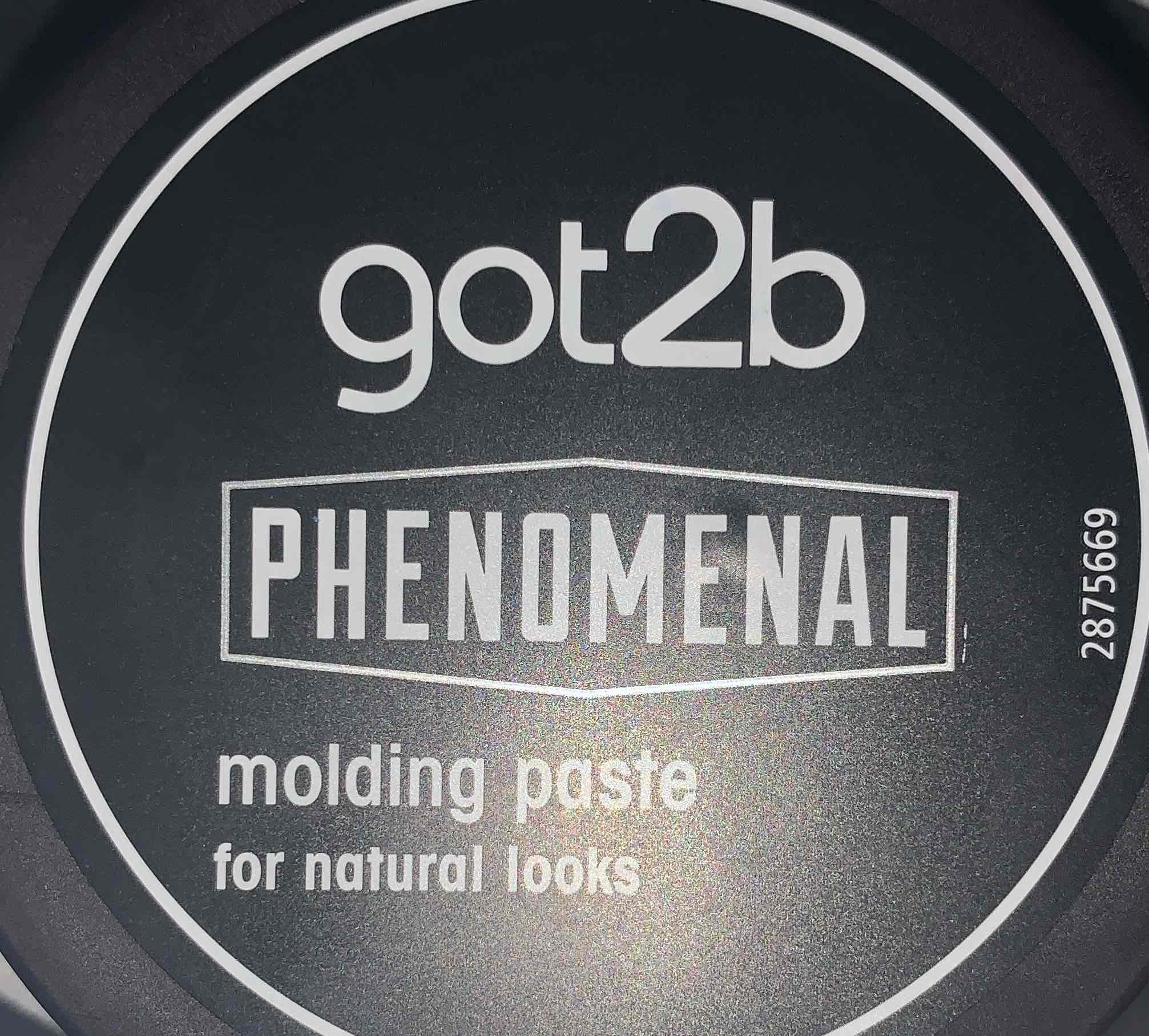 Phenomenal Moulding Paste Medium Control