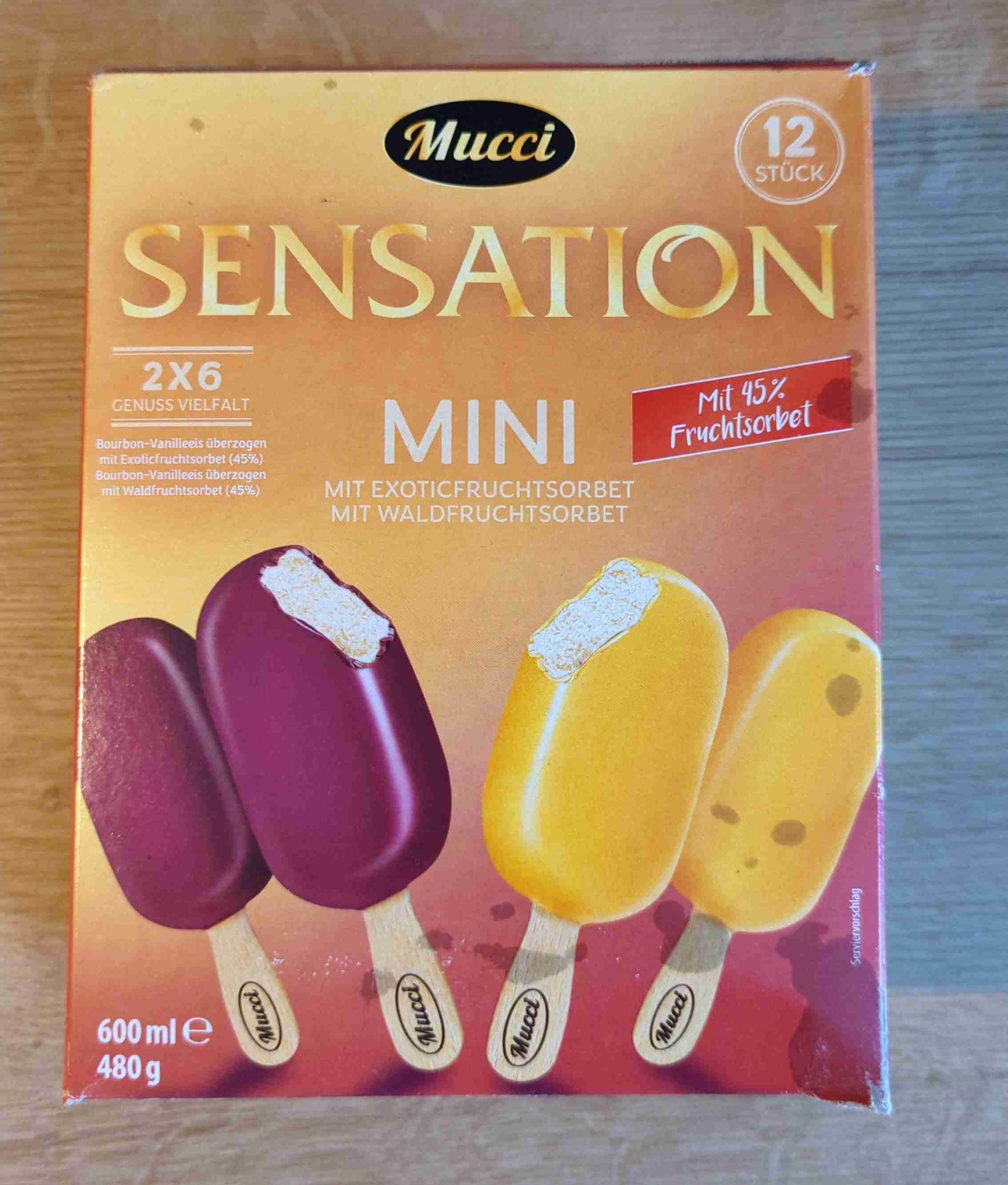 mini Eis exotic und waldfrucht