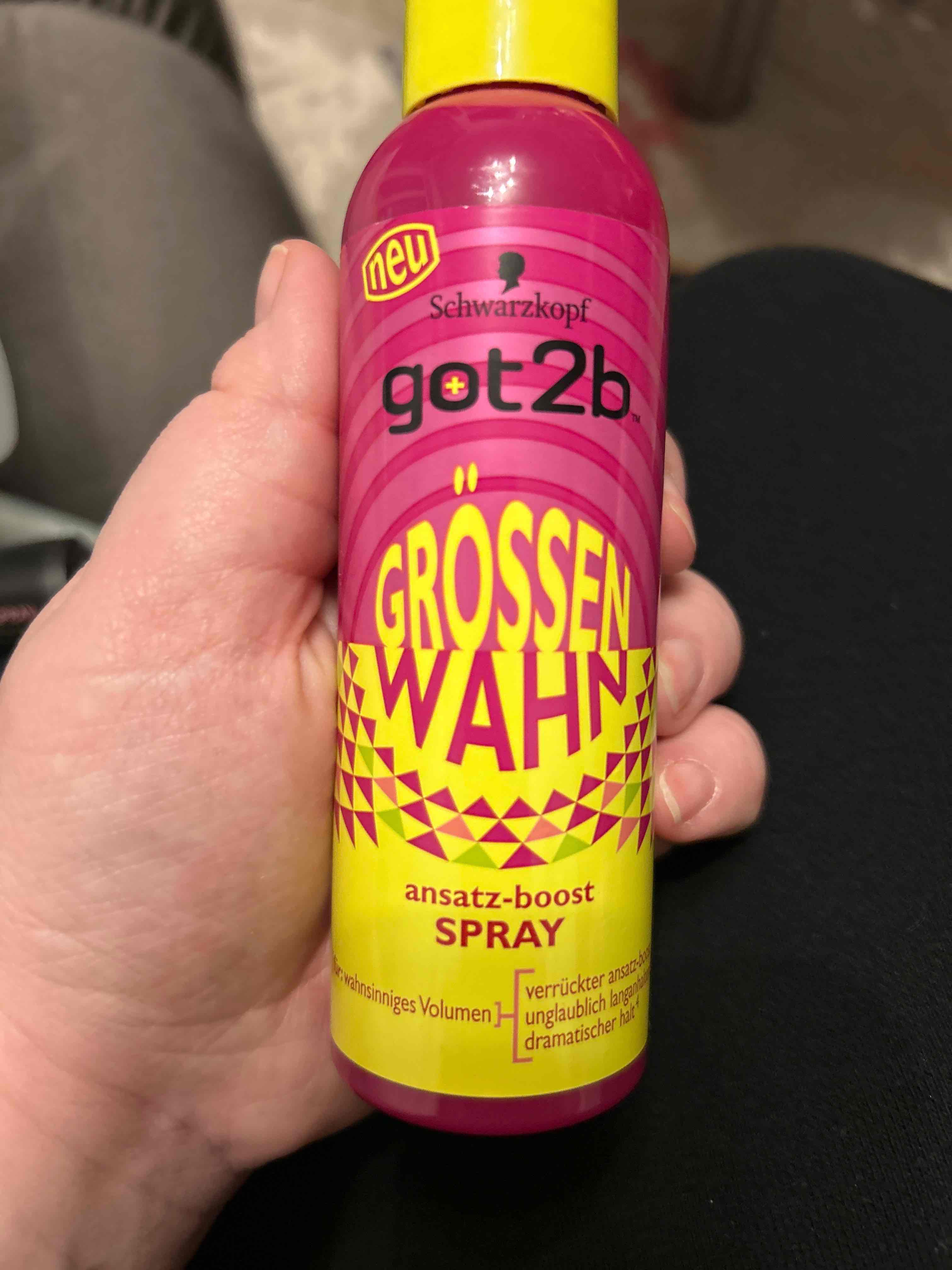 Ansatz Boost Spray