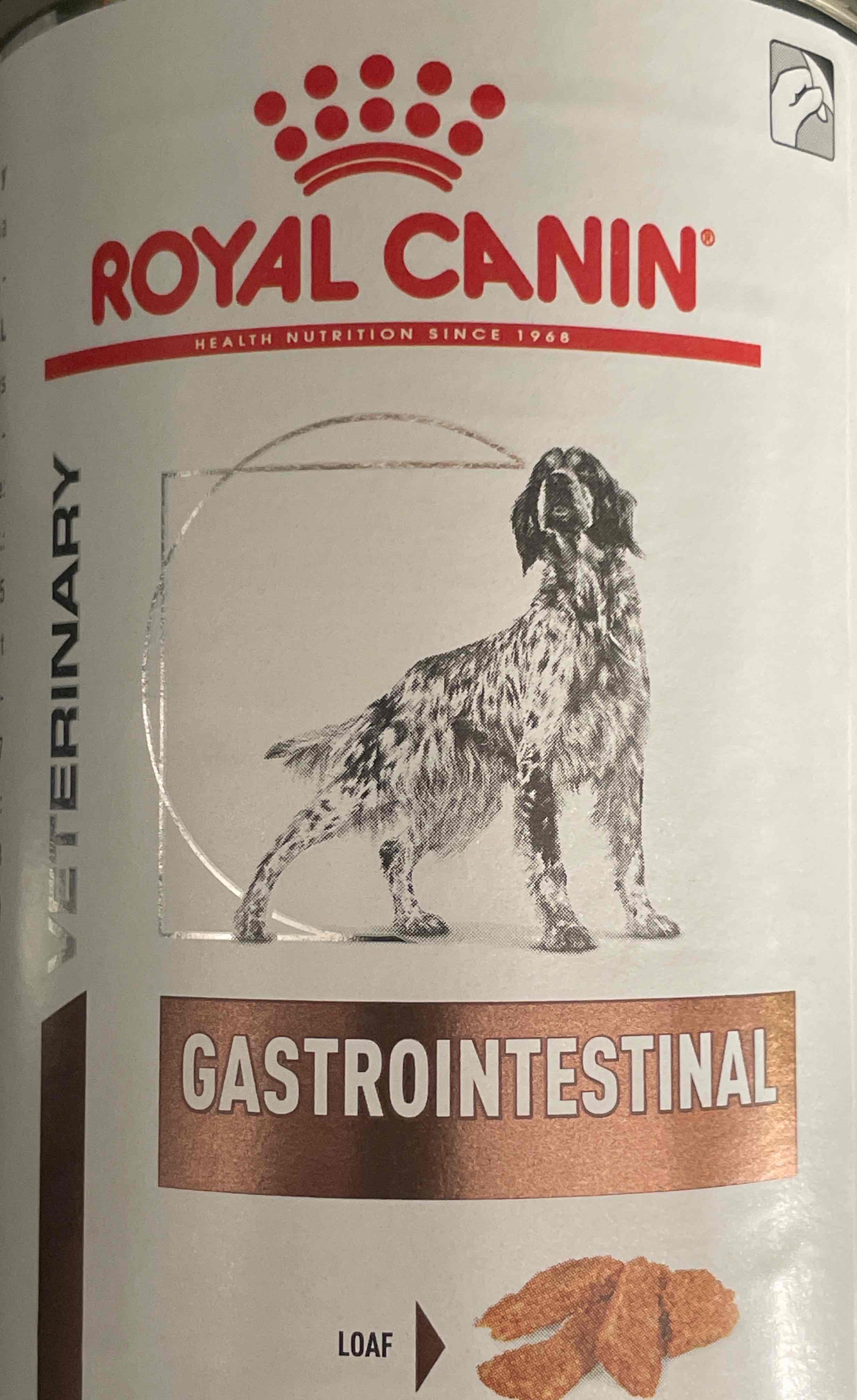 Royal Canin Intestinal