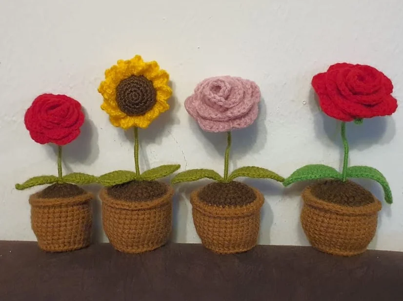Macetas con flor eterna (c/u)