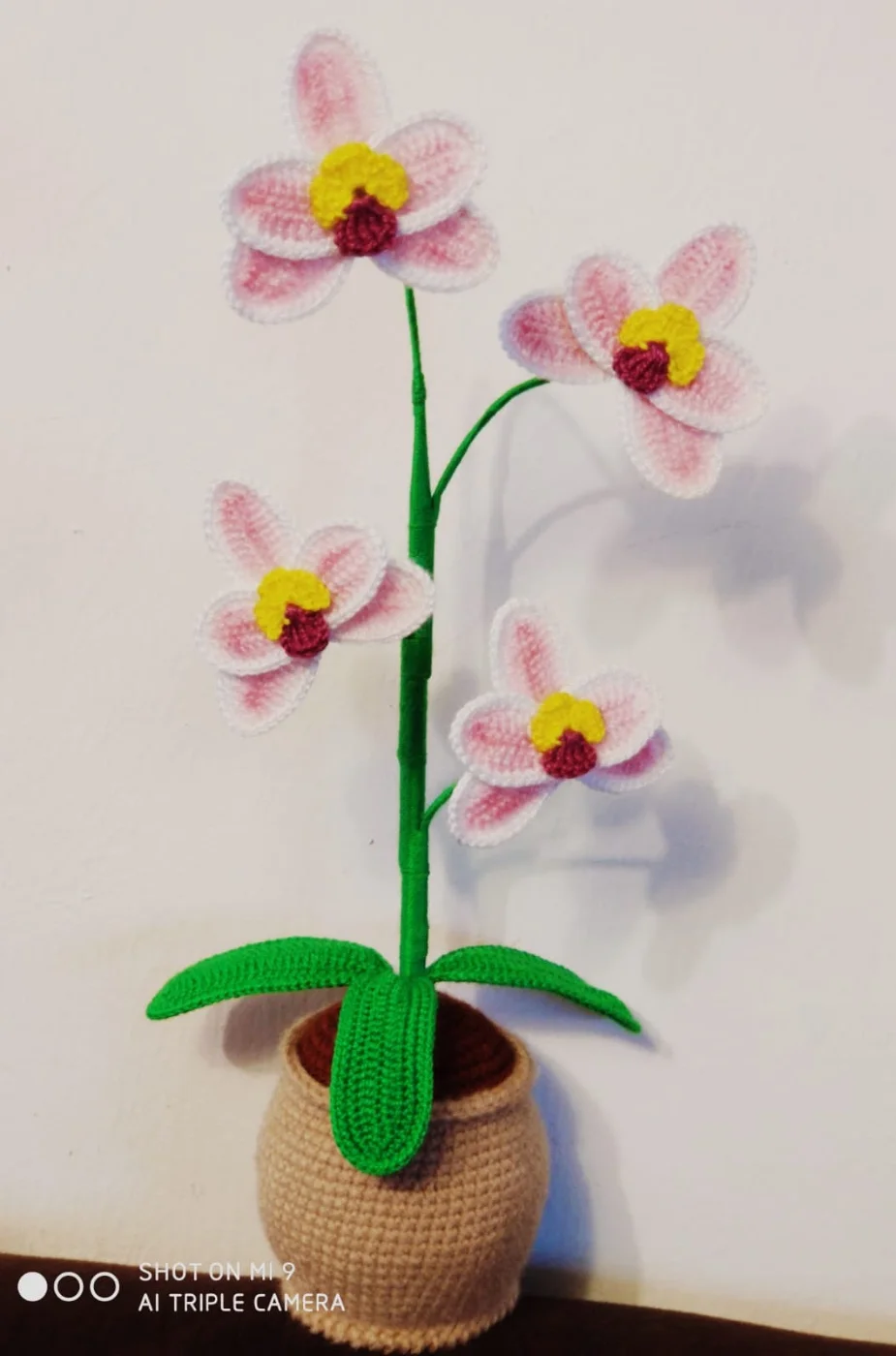 Orquídea Grande