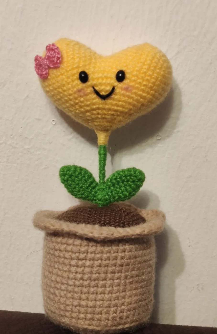 Planta Corazón