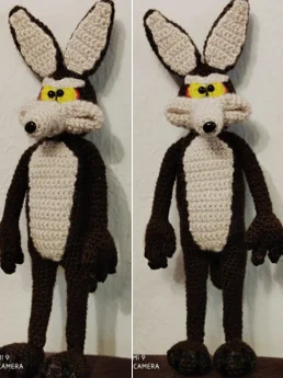 Coyote