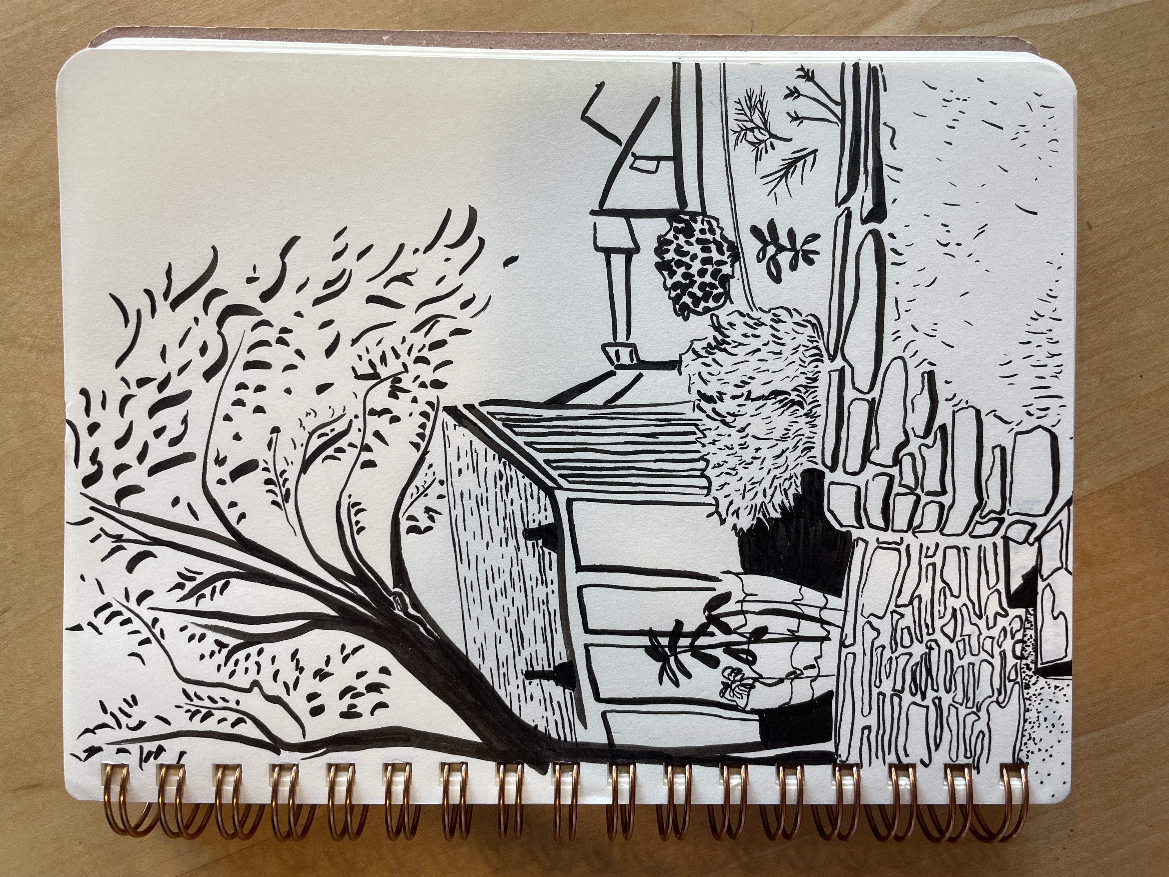 Sketch of Britt Gardens by Maddie. Ink on paper.