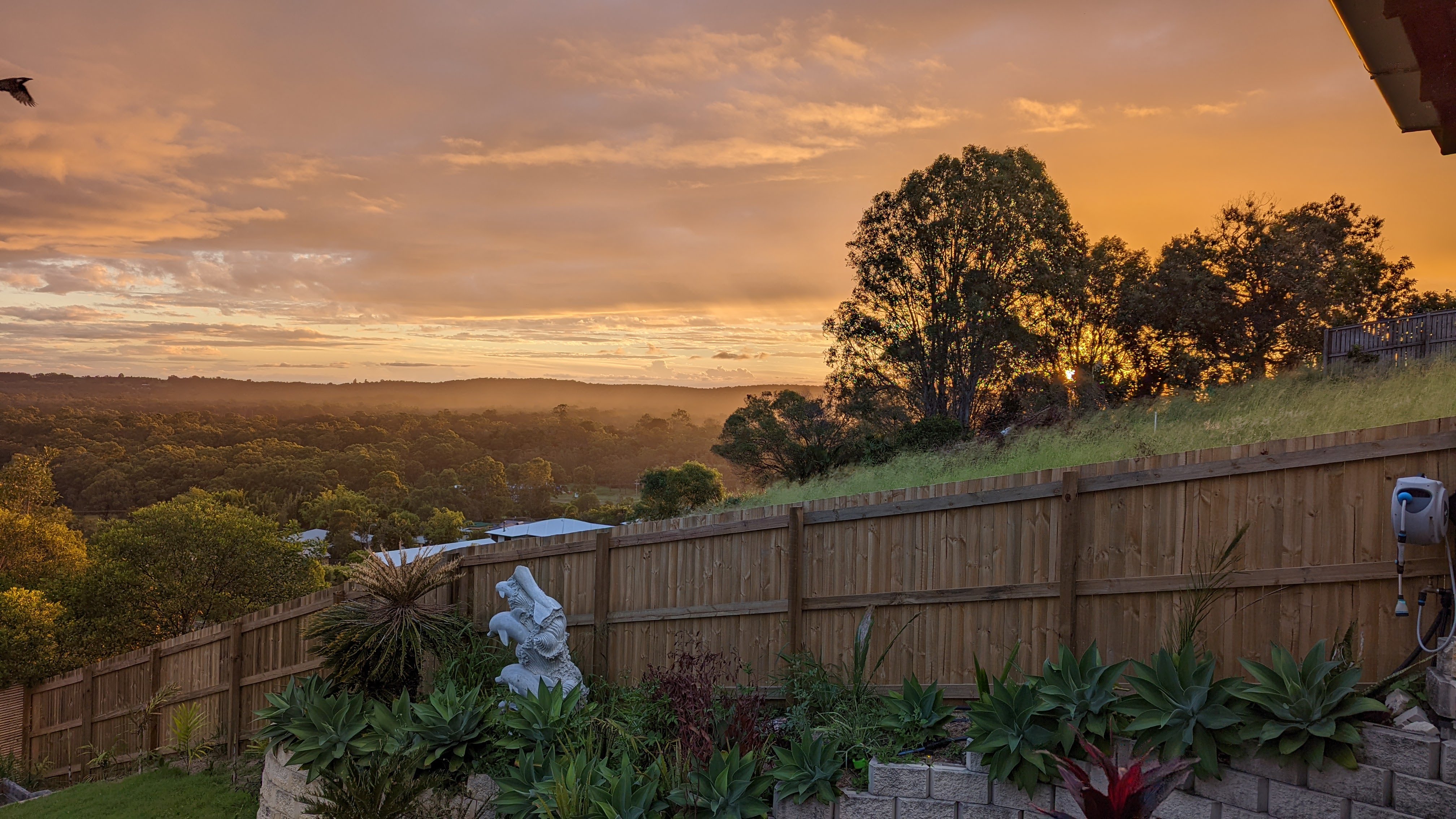 The sunsets here have been insane recently!