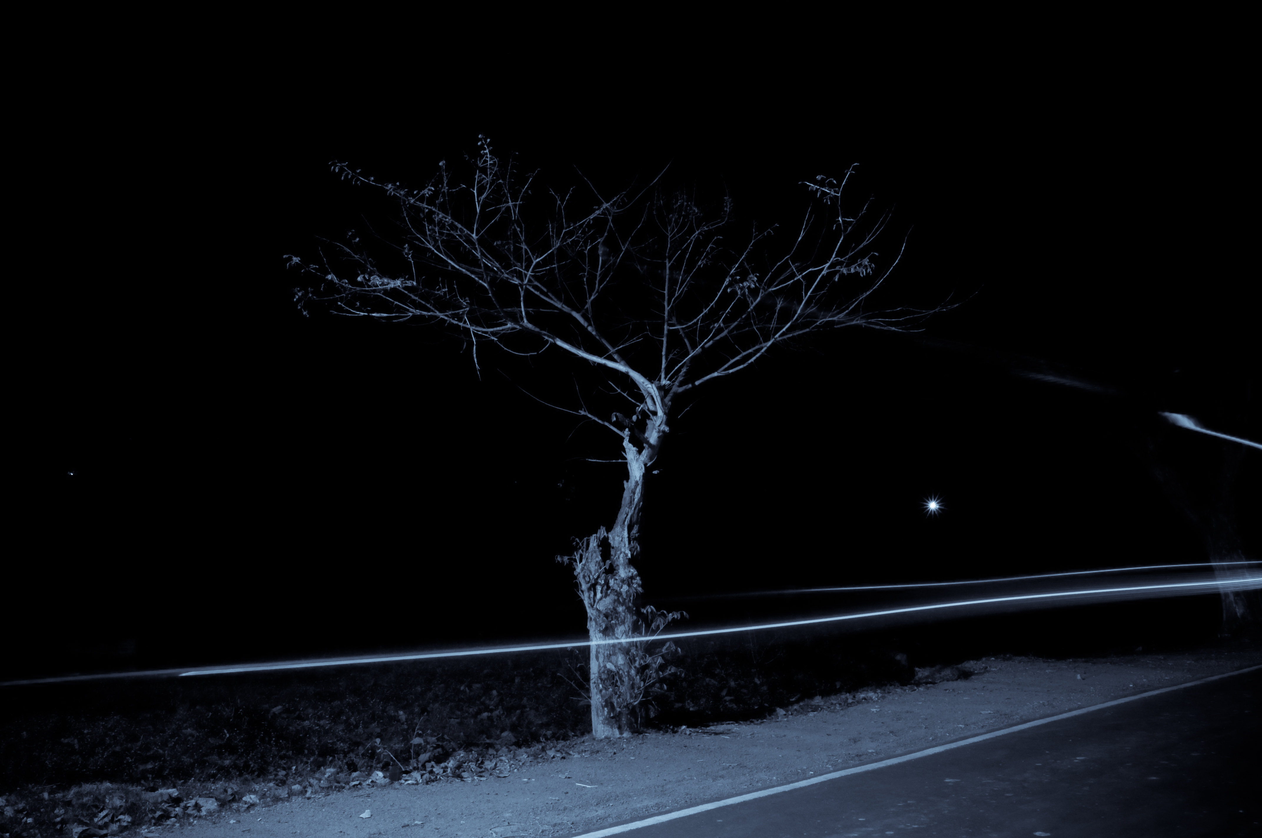 still_standing.jpg