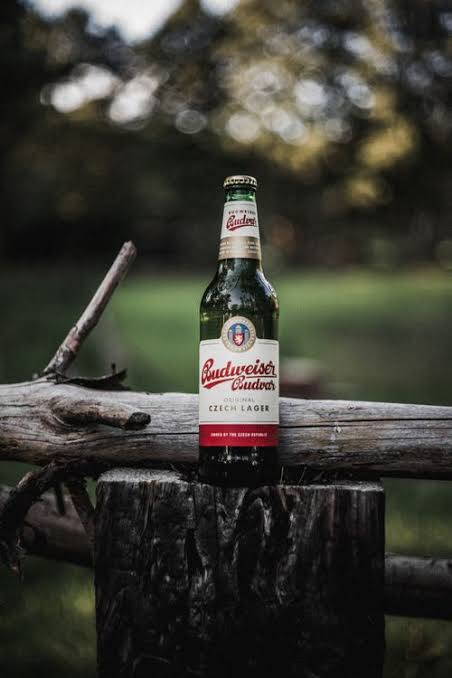 Budweiser 33 cl