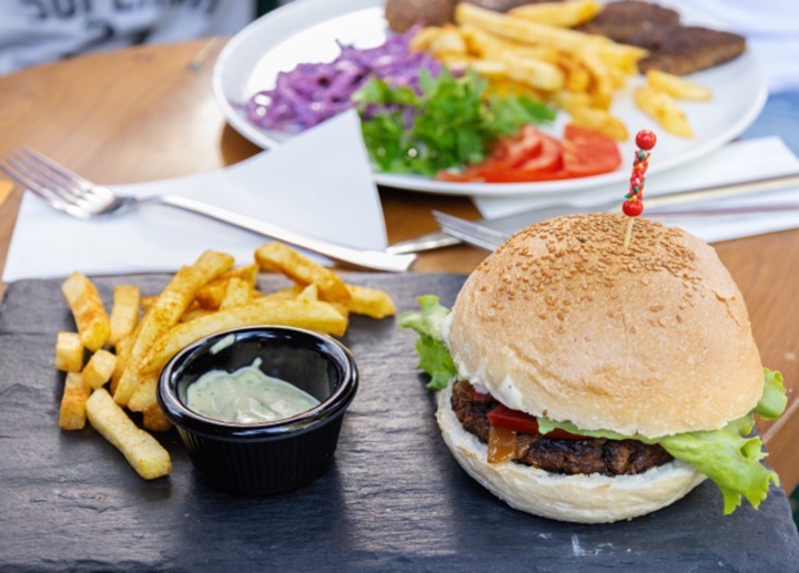 Terra Burgers (Soy mince-based)