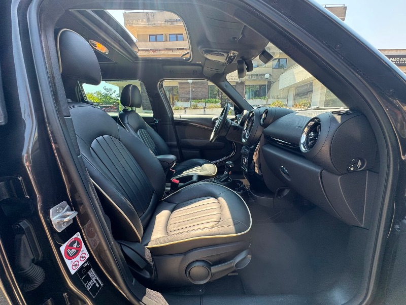 MINI COUNTRYMAN - MINI COUNTRYMAN S | CARTE SERVICE | GARANTIE | POSIBILITATE RATE