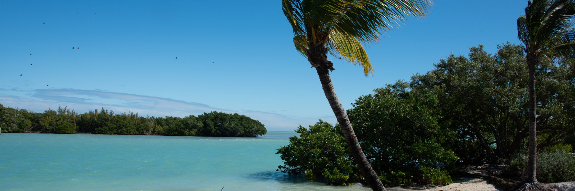 Biscayne National Park landscape view
