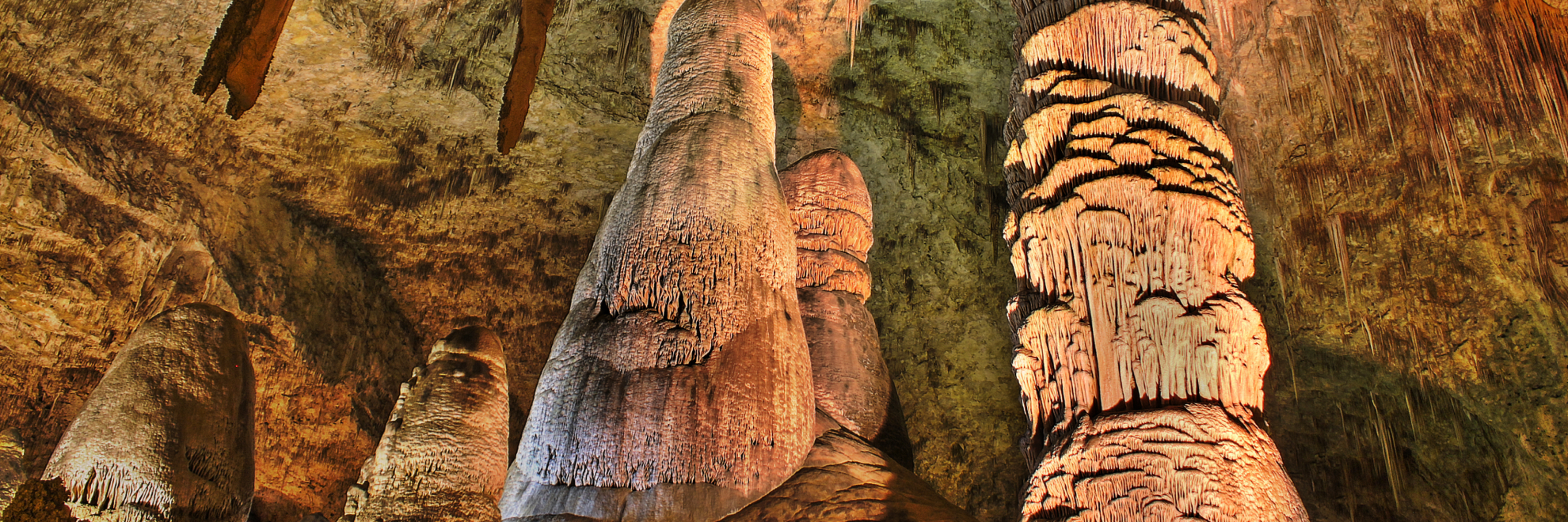 Carlsbad Caverns National Park landscape view
