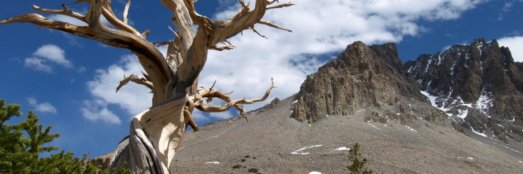 Great Basin National Park landscape view