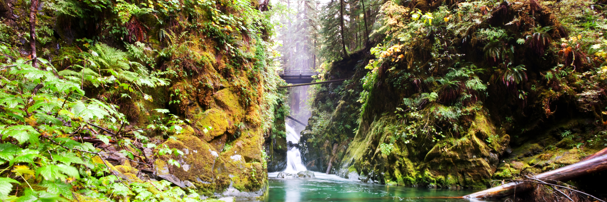 Olympic National Park landscape view