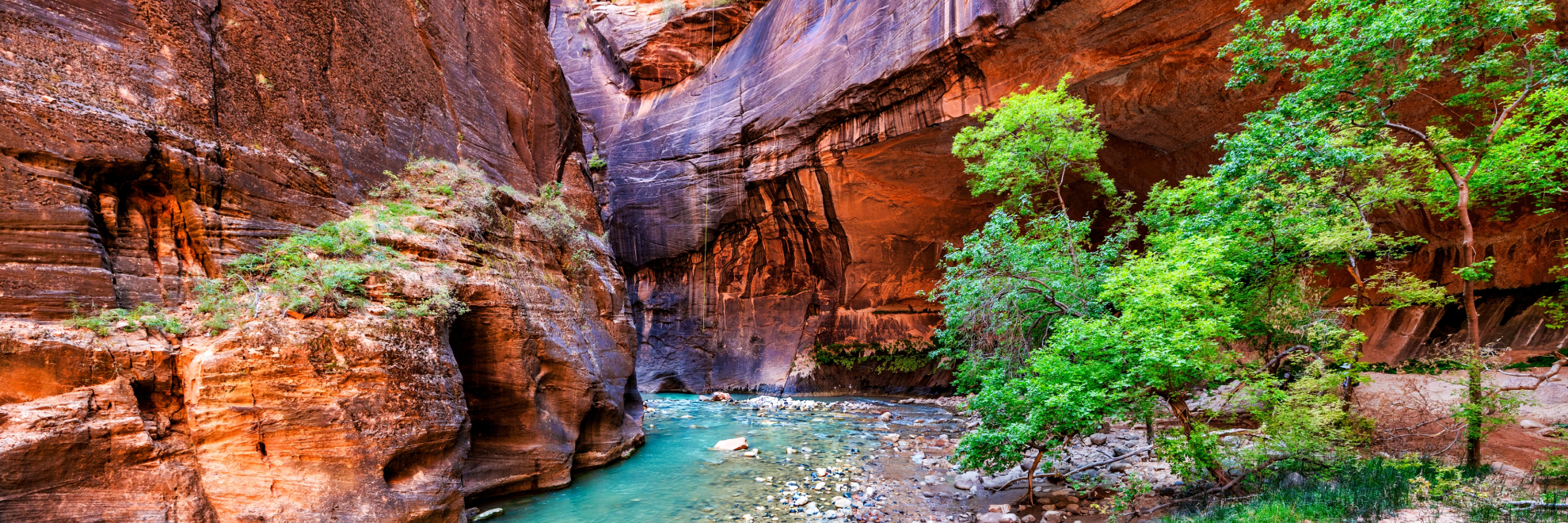 Zion National Park landscape view