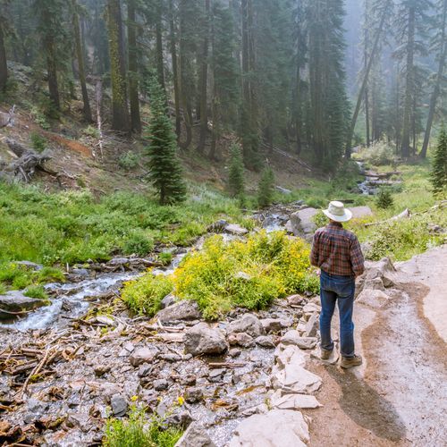 Plaikni Falls Trail