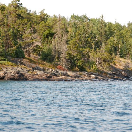 Hatchet Lake Trail